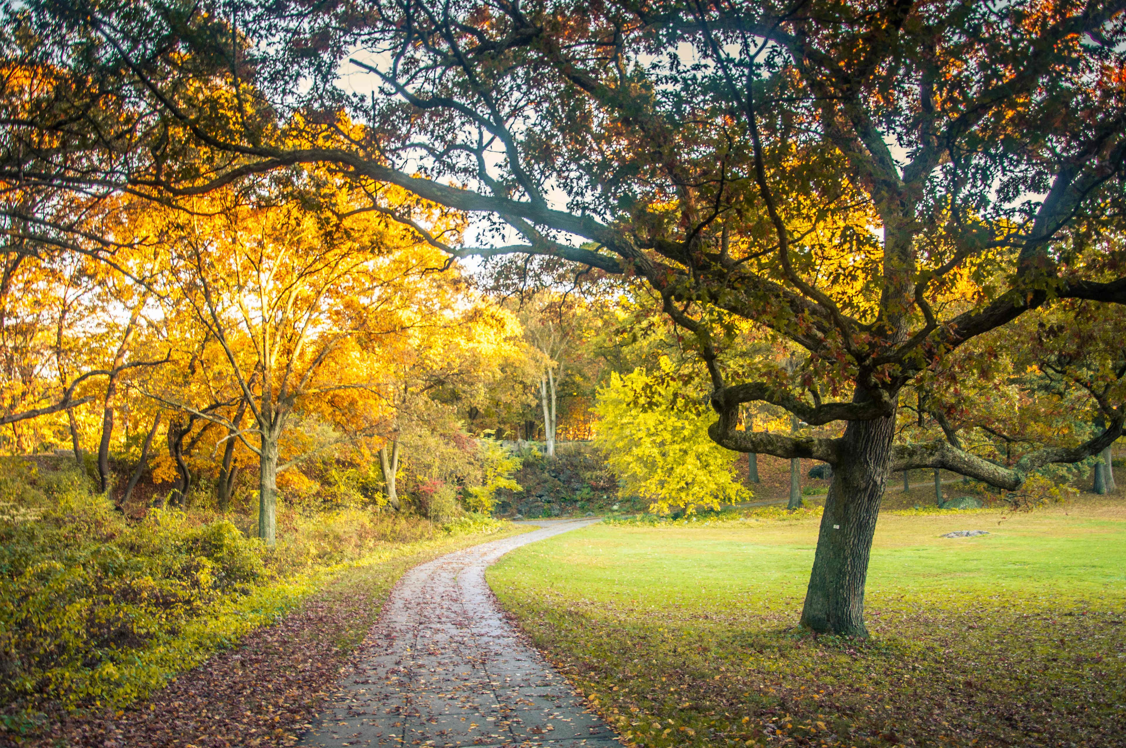 Franklin State Forest