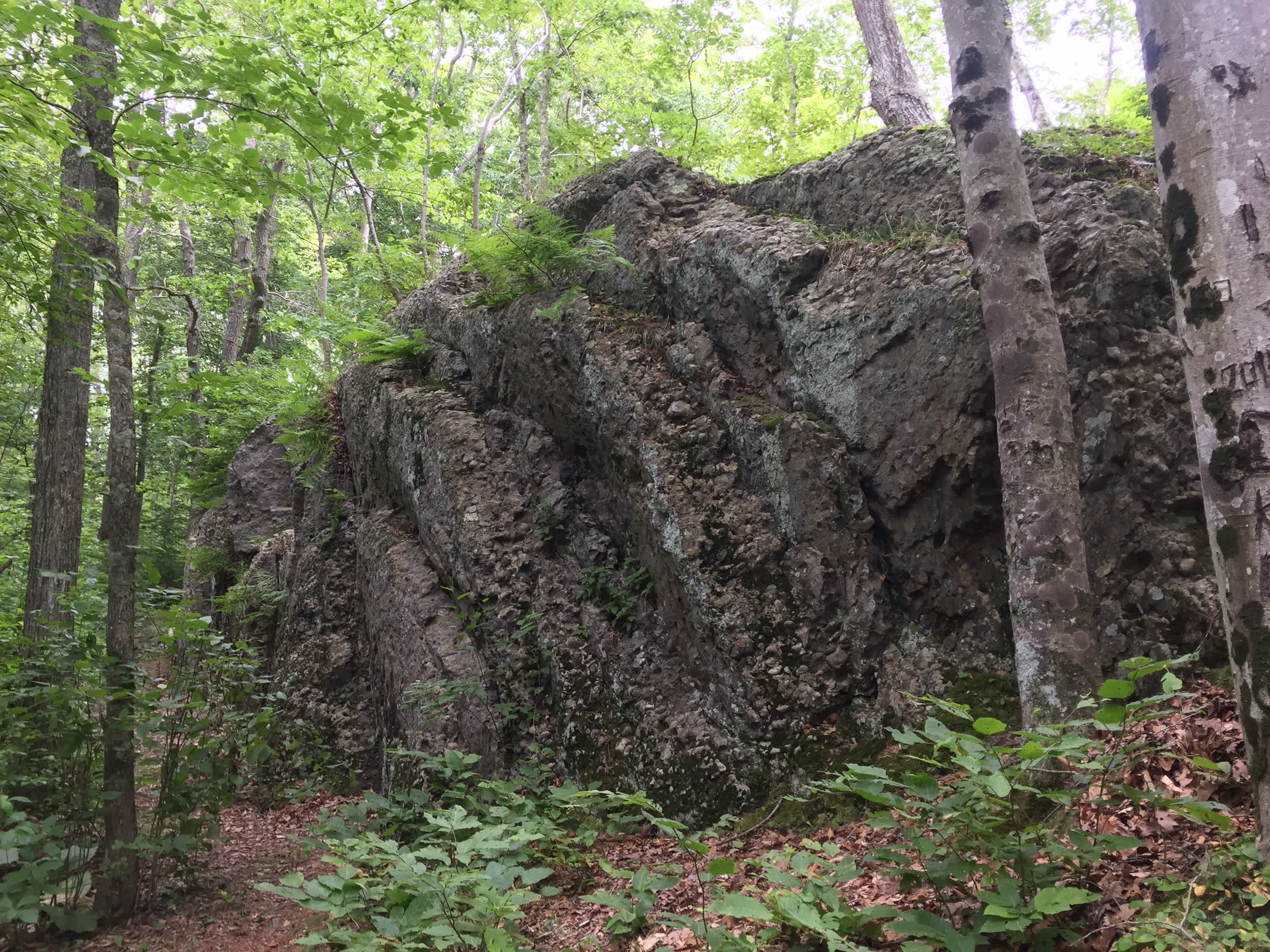 Rehoboth State Forest