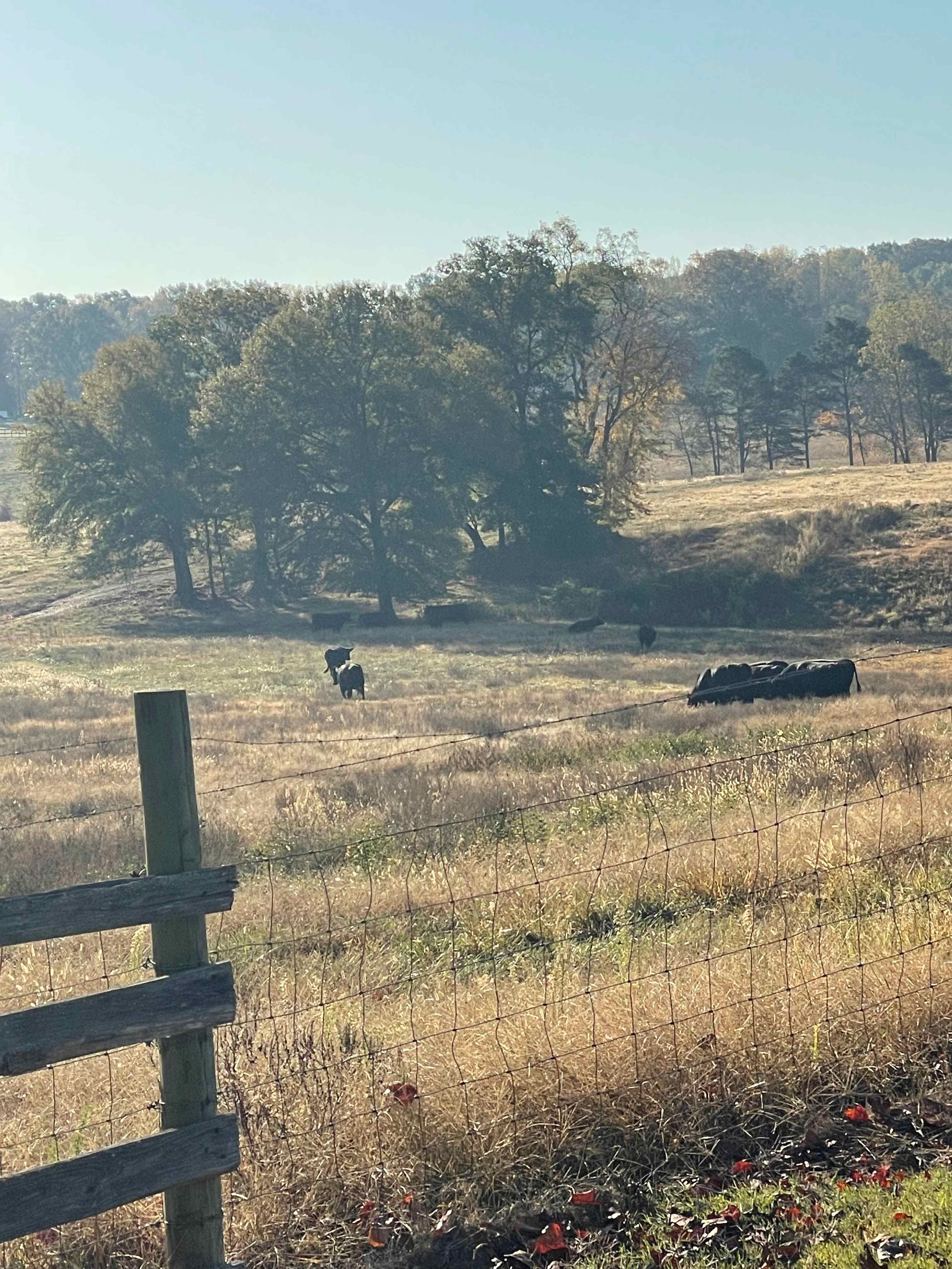 Bull Run RV Park