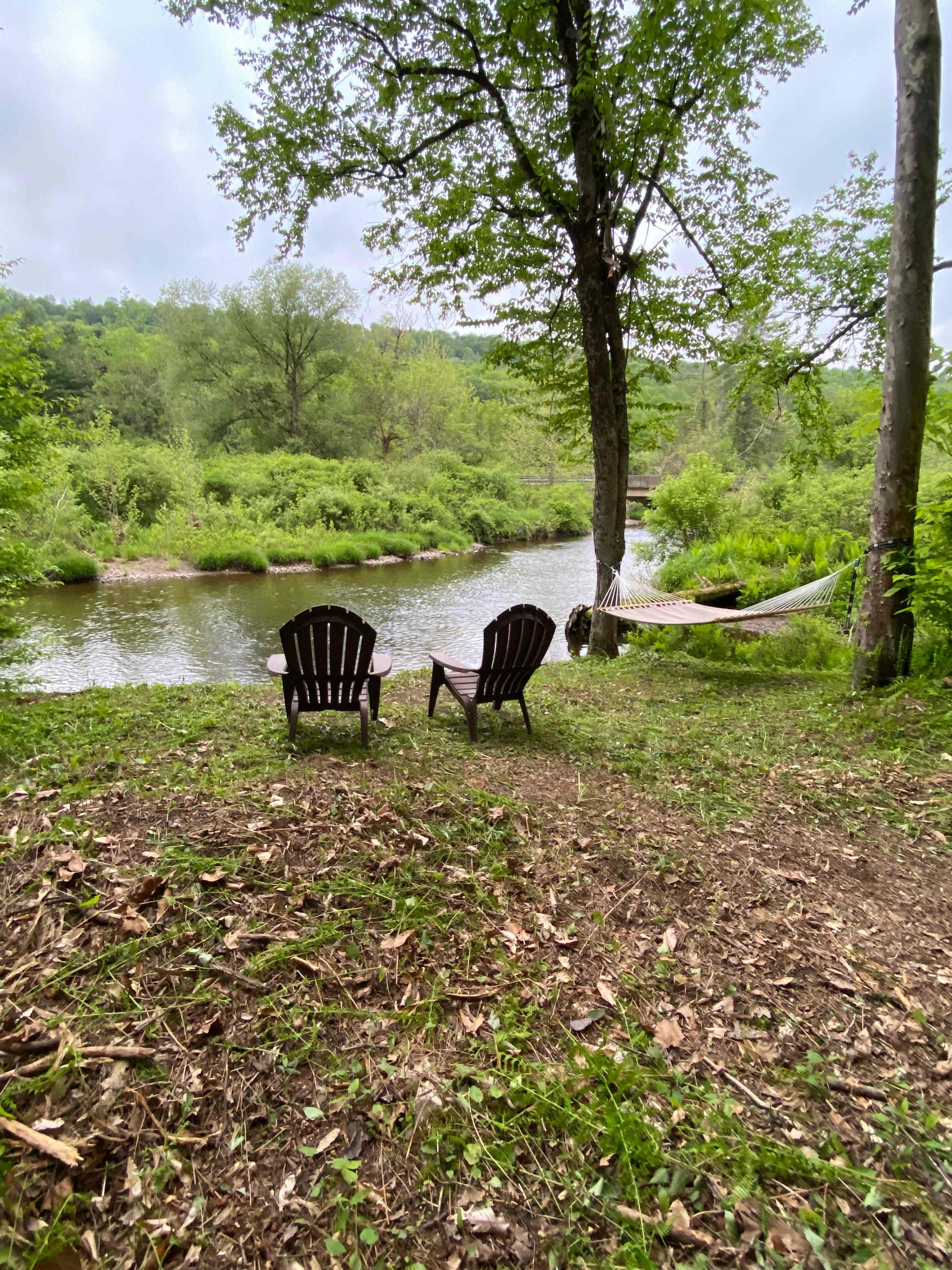 Daydreamin on Dyberry Creek