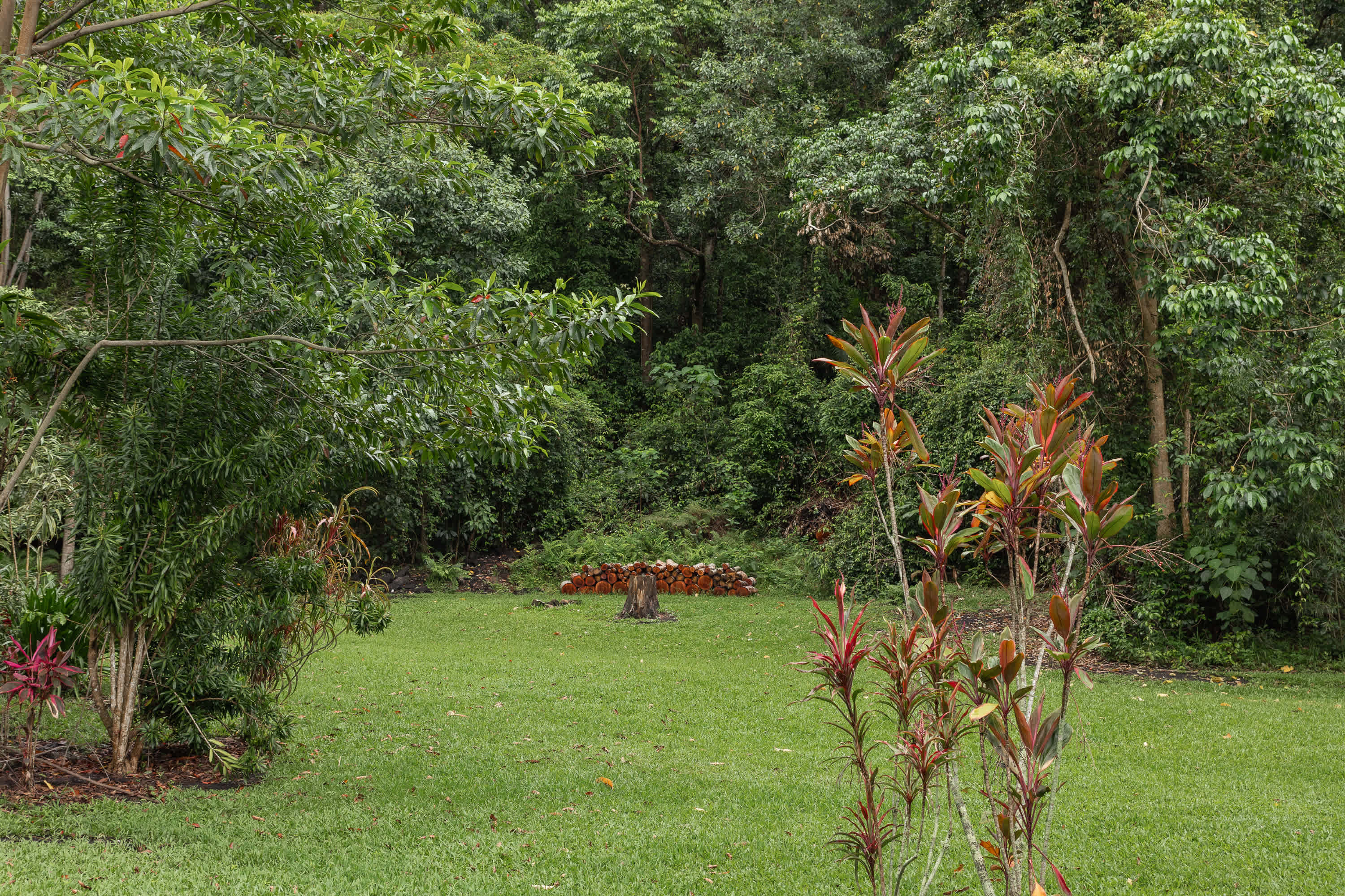 Forest Fields Campstay