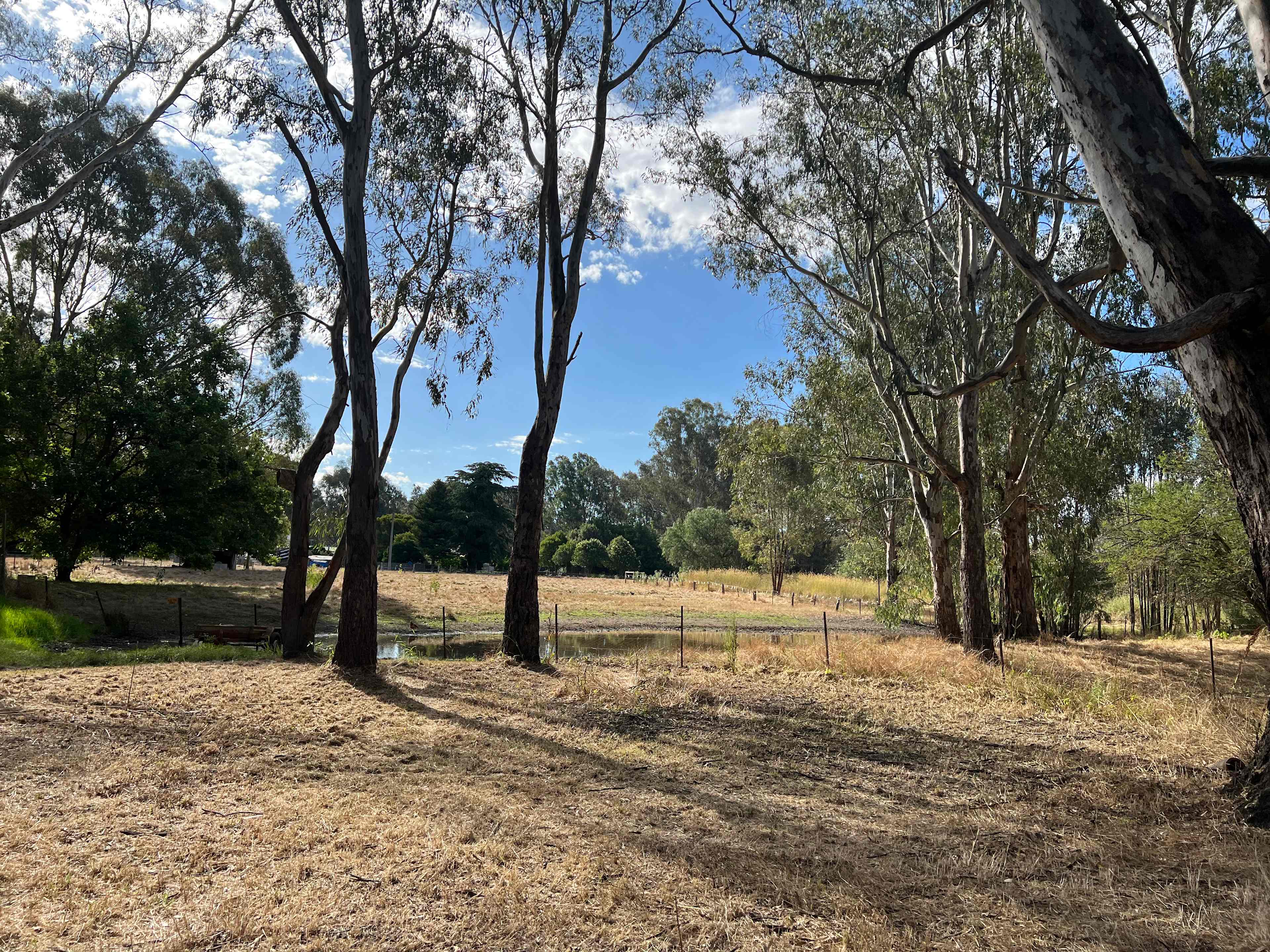 River Gum Paddock