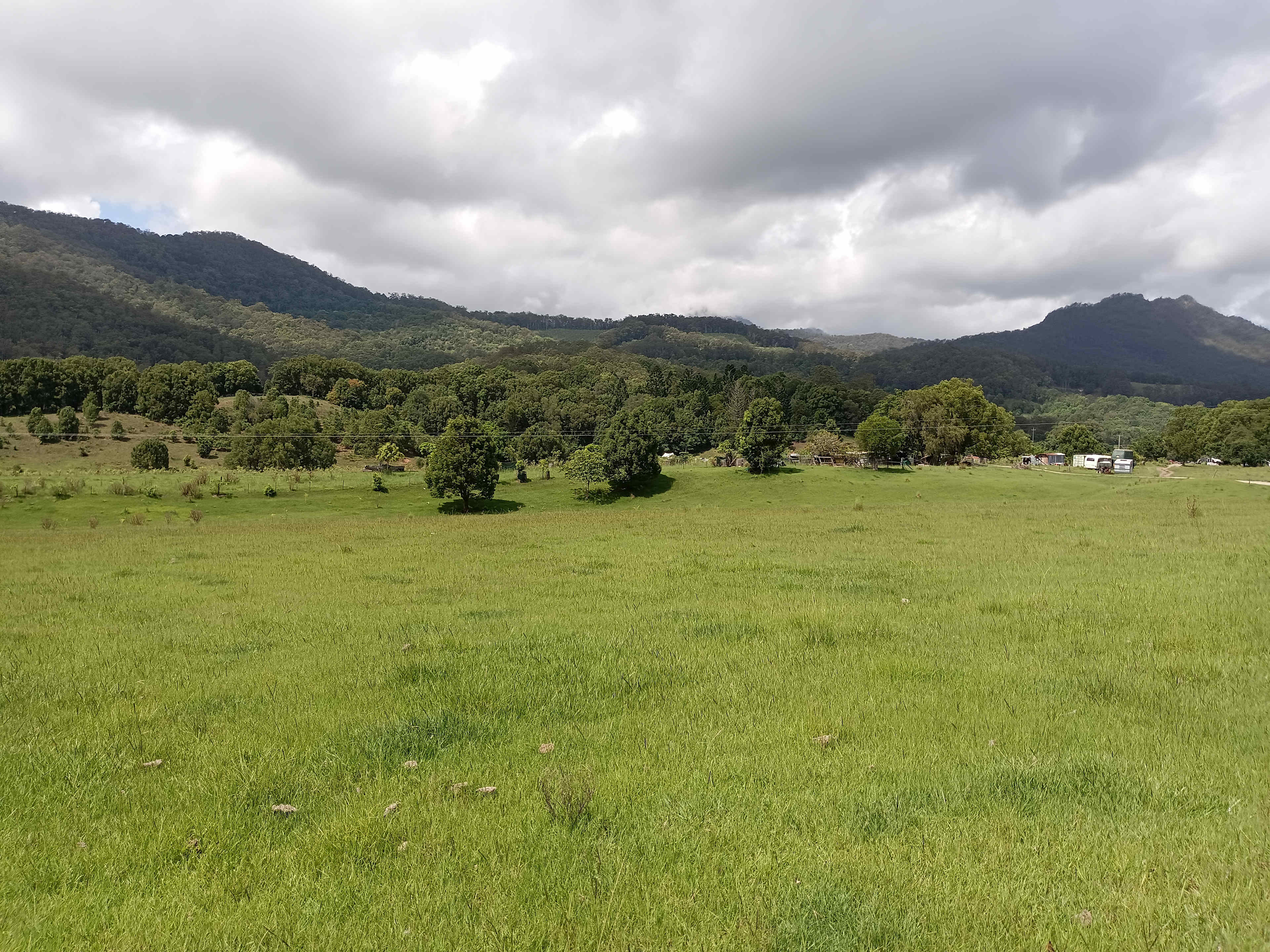 McKenzies Mountain, Wollumbin