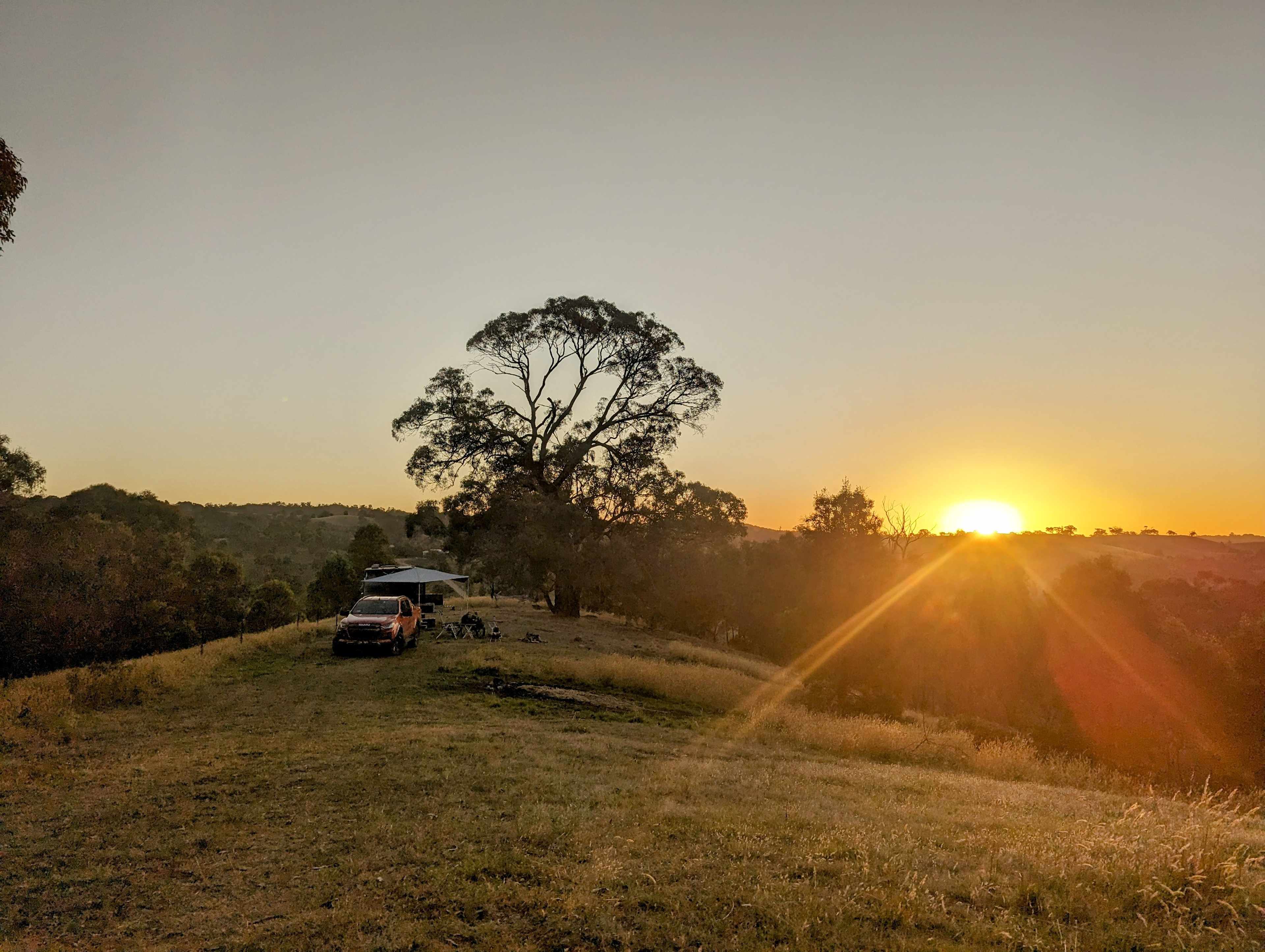 Home Tree site