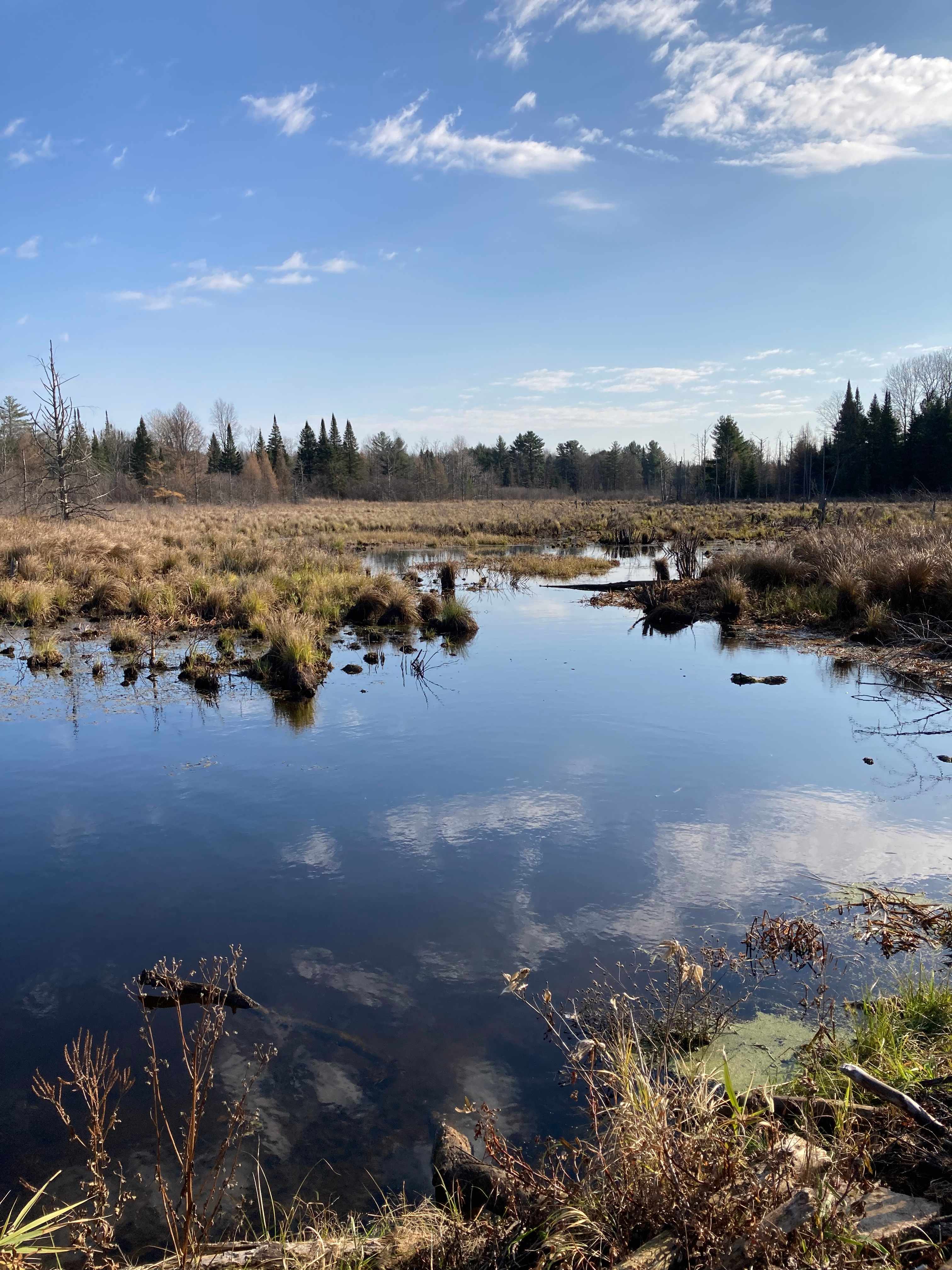 Ricky’s Pine River hunt/camp