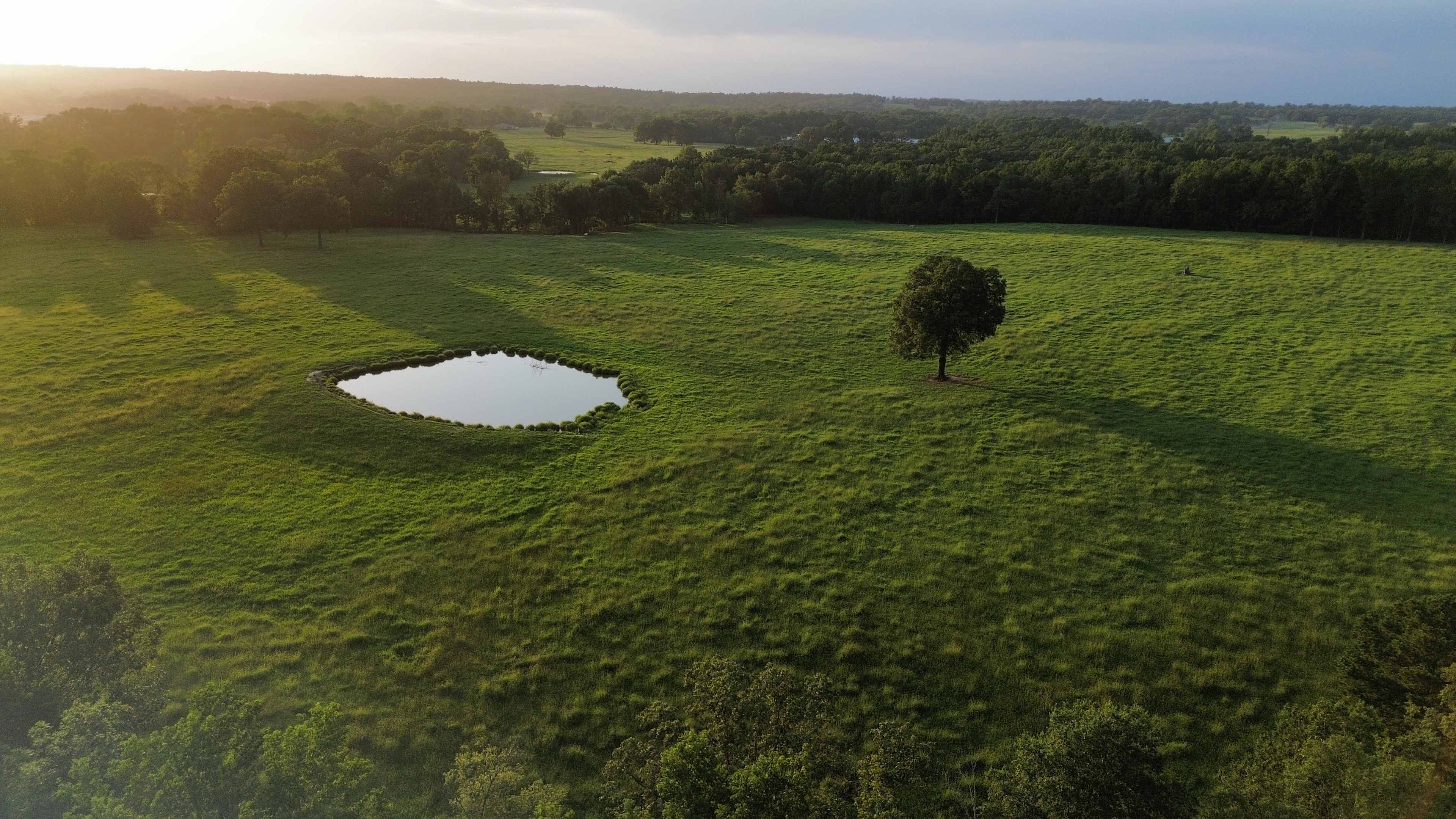 High Point Ranch