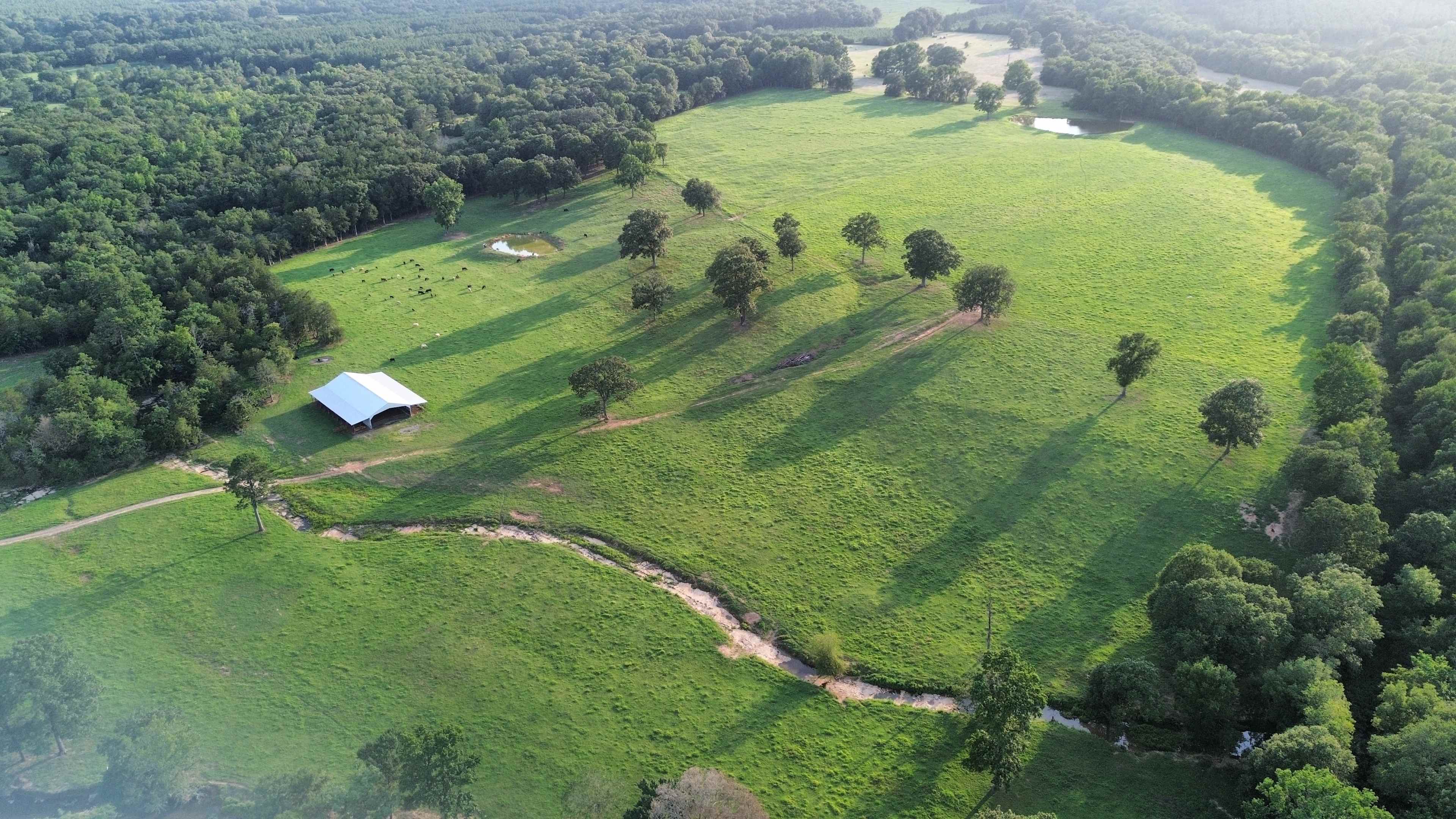 High Point Ranch