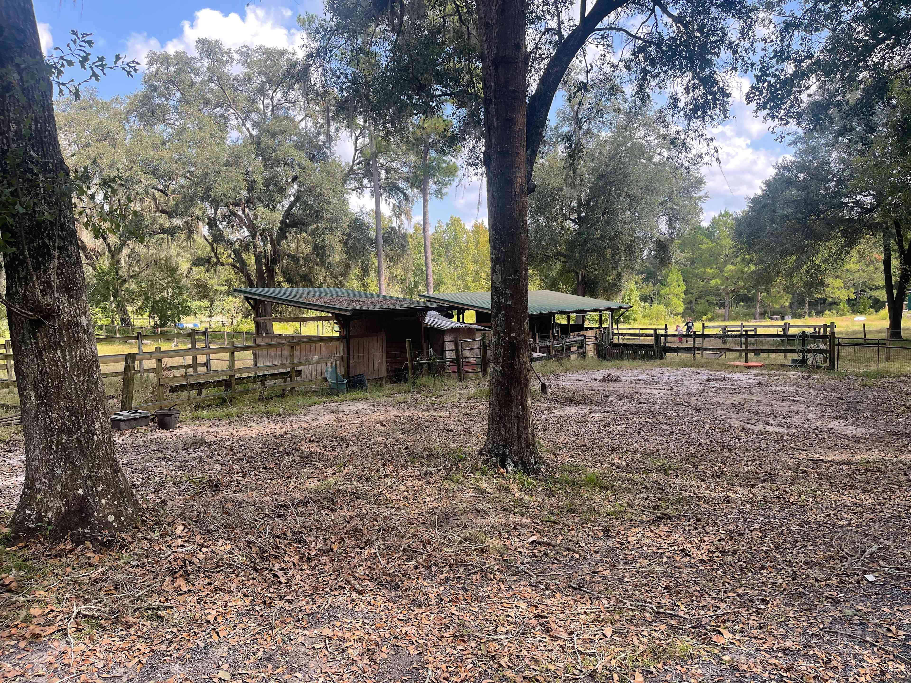 Turkey Roost Farm
