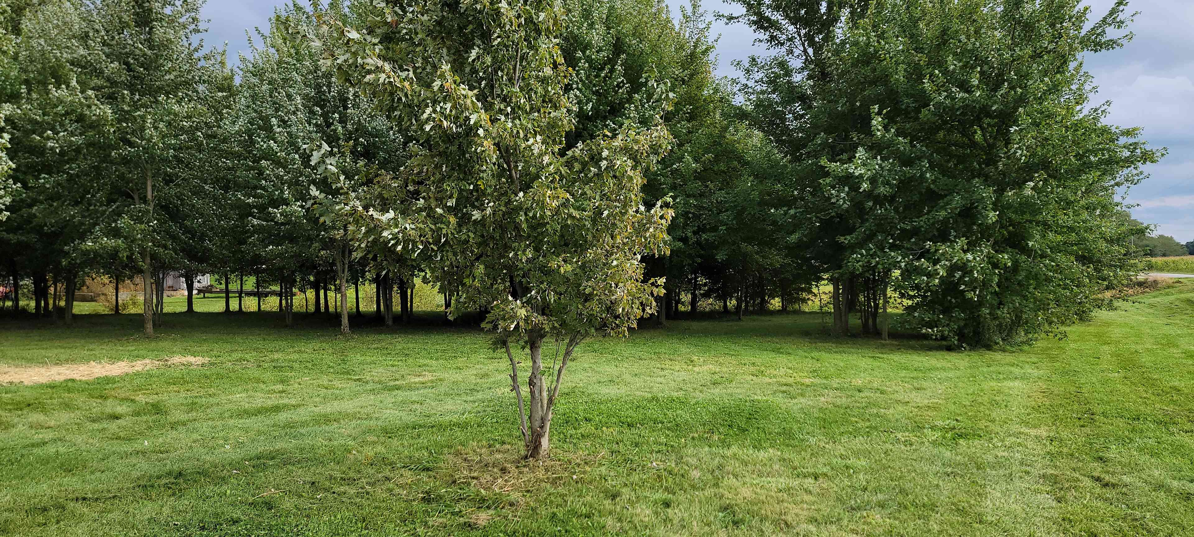 Scott and Amy's Rural Respite
