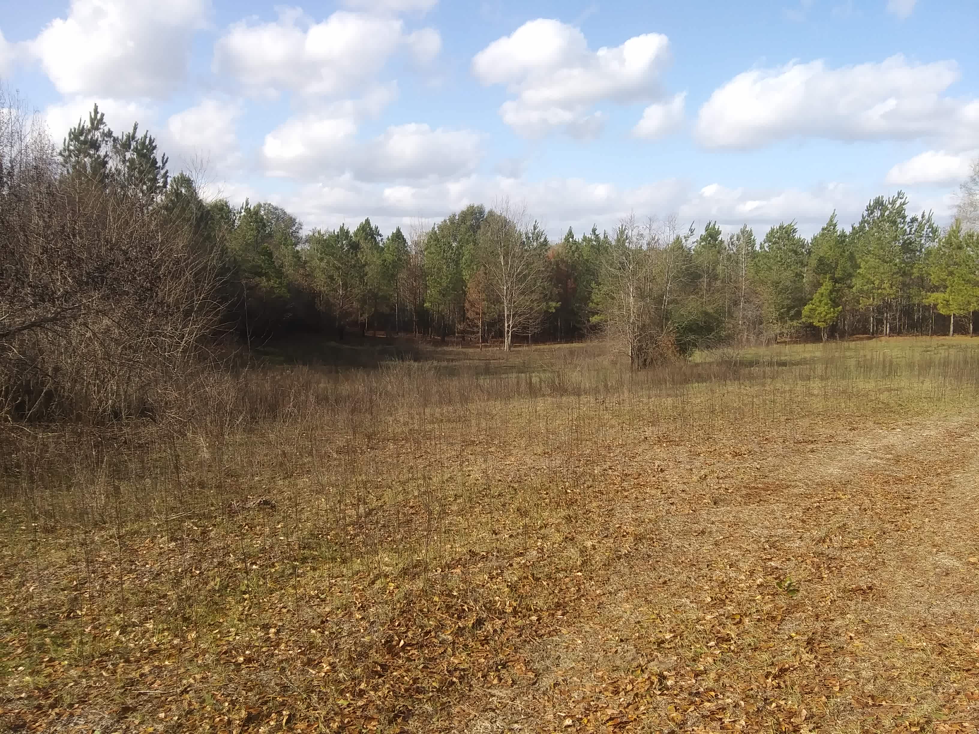 Murchison Farm's Primitive Camping