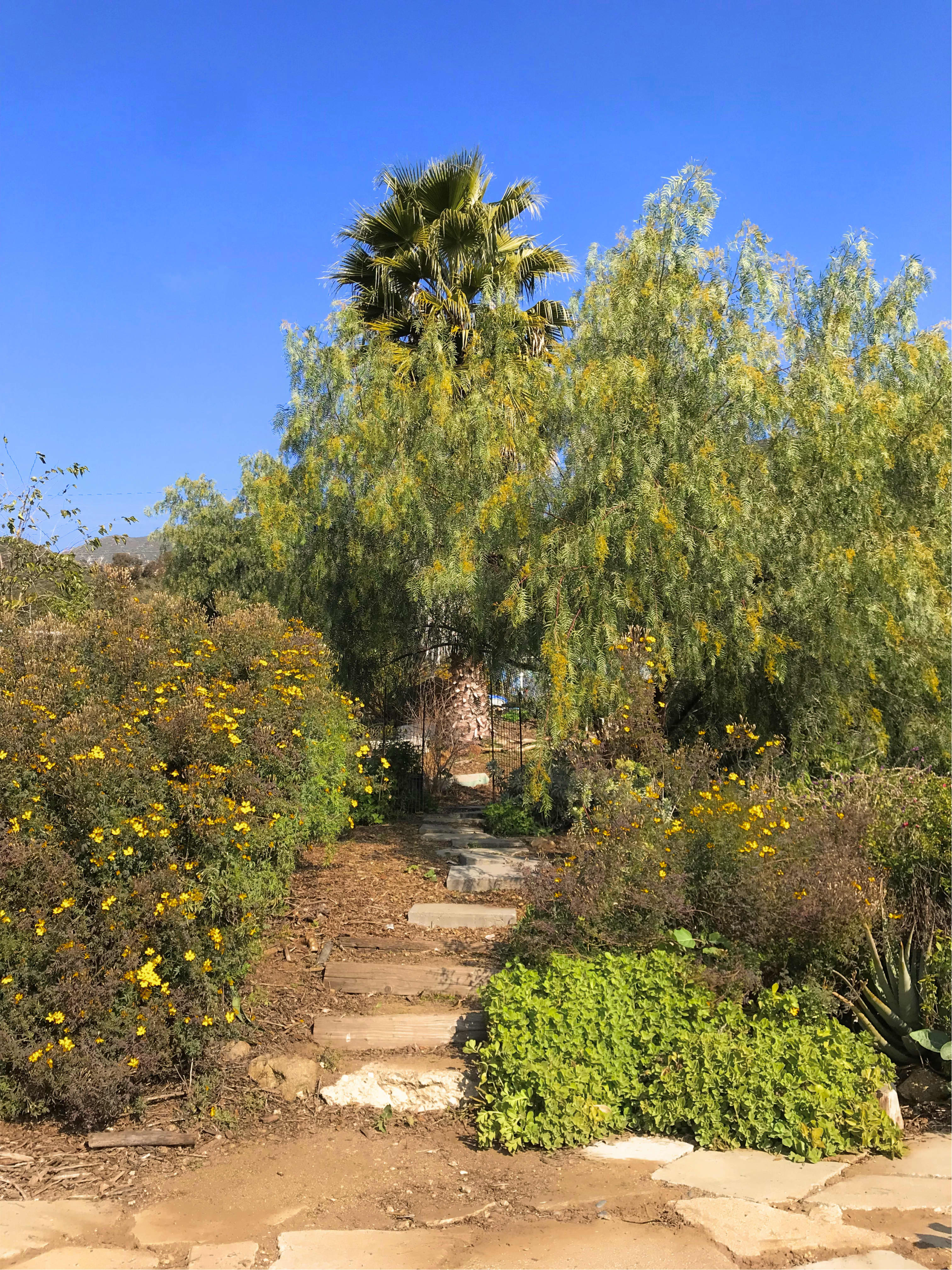 Zorthian Ranch