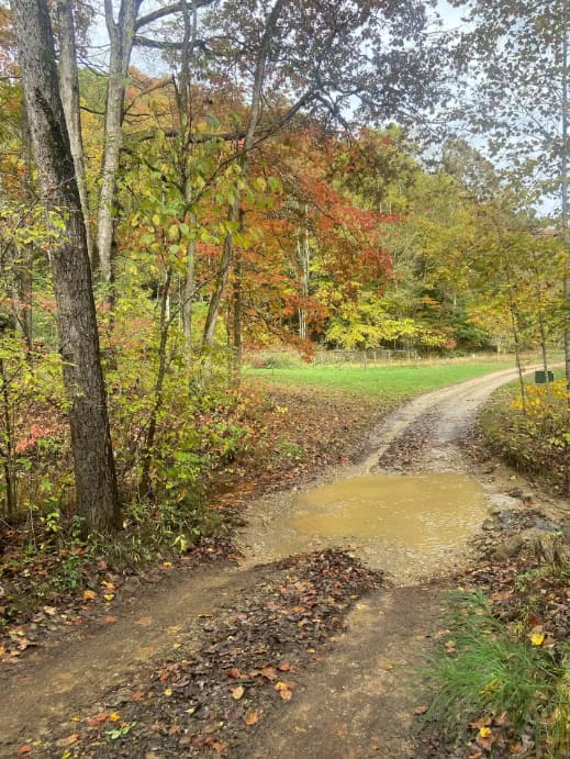 Punkin Hollow Resort
