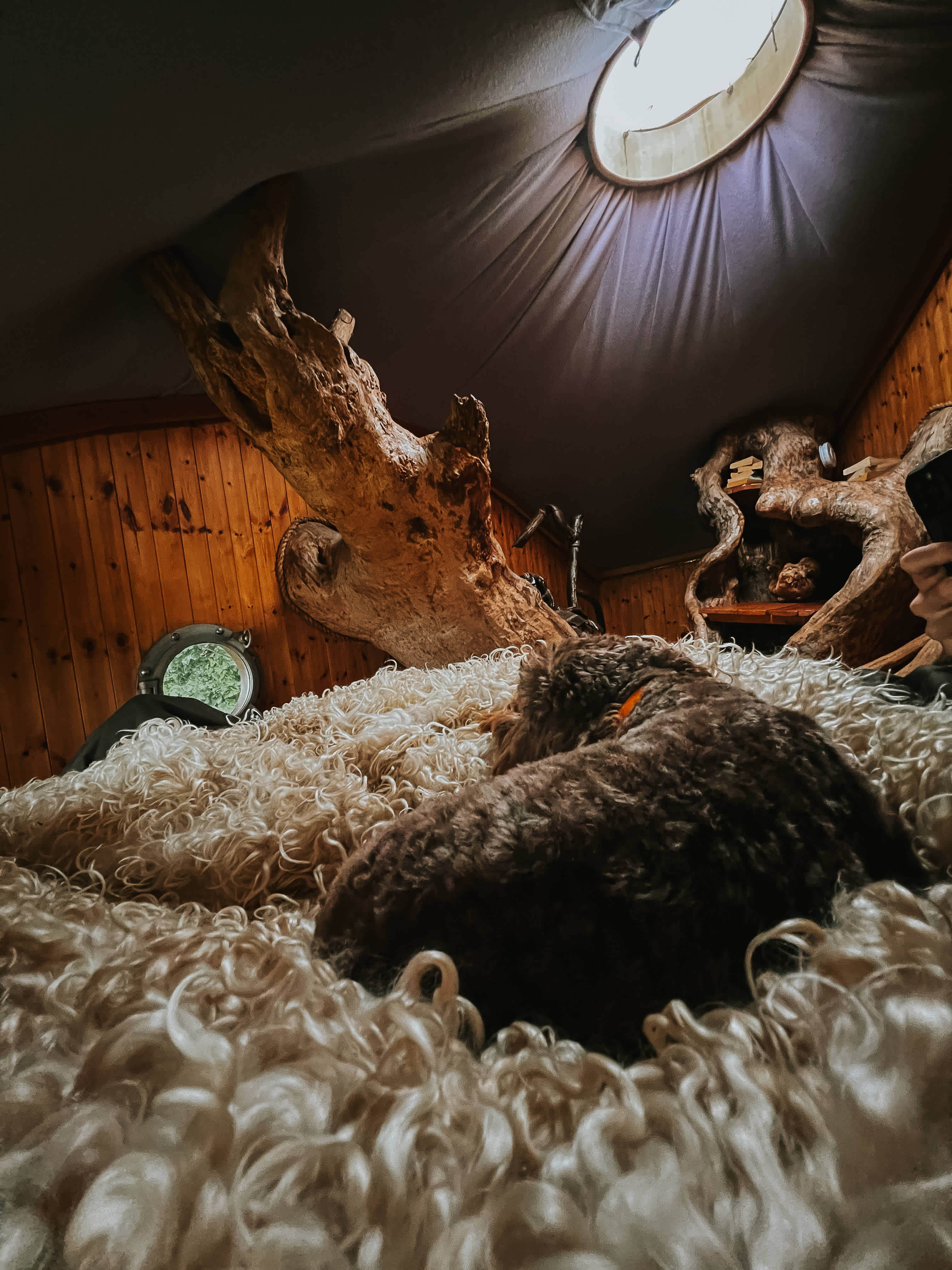 Goytree Glamping and Treehouses