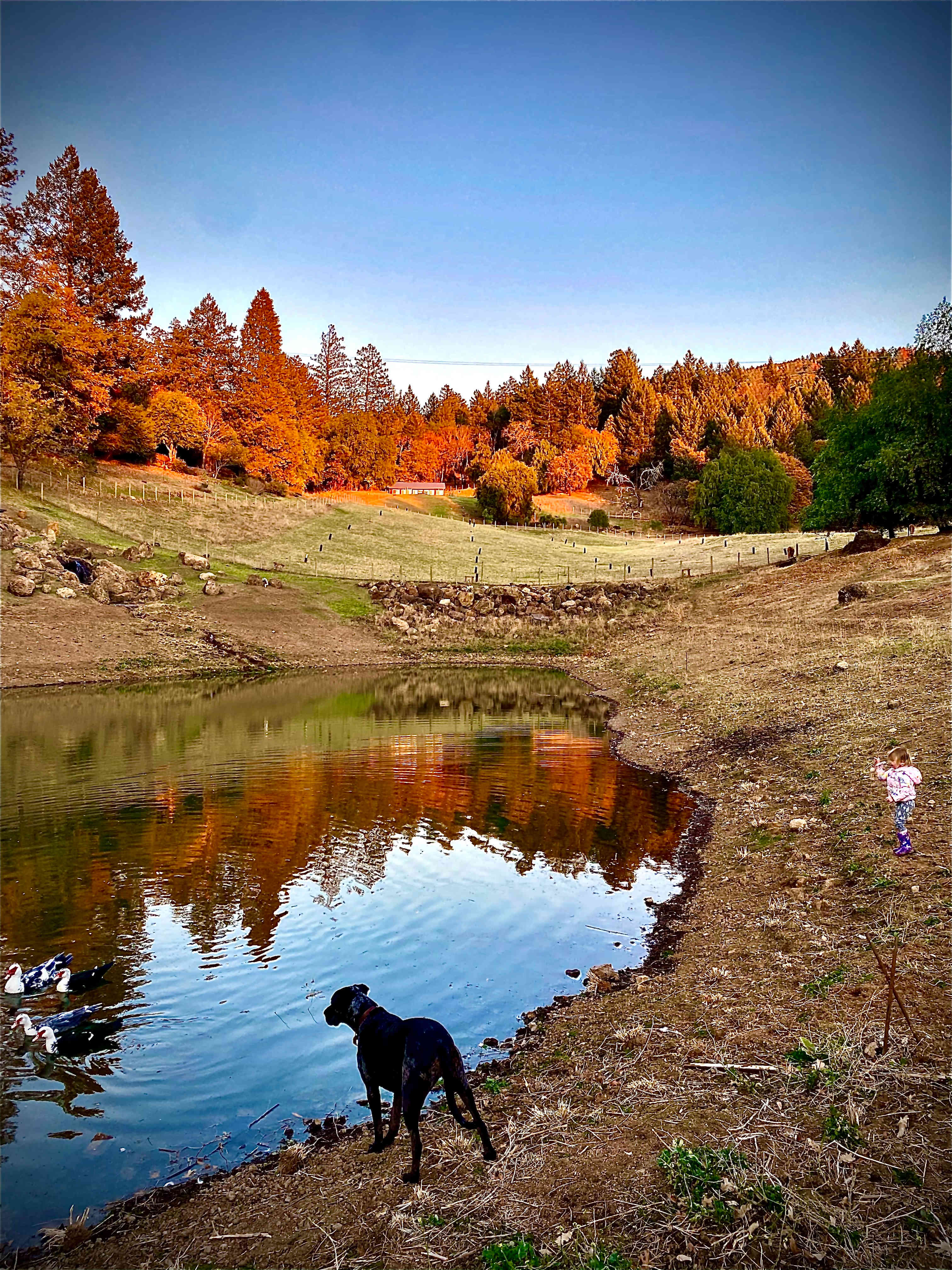 Wild Canyon Ranch CA
