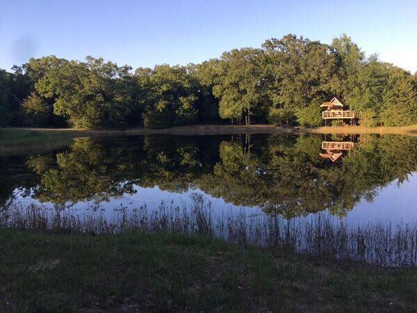 Front pond, fish habitat and ultimate swimming hole 