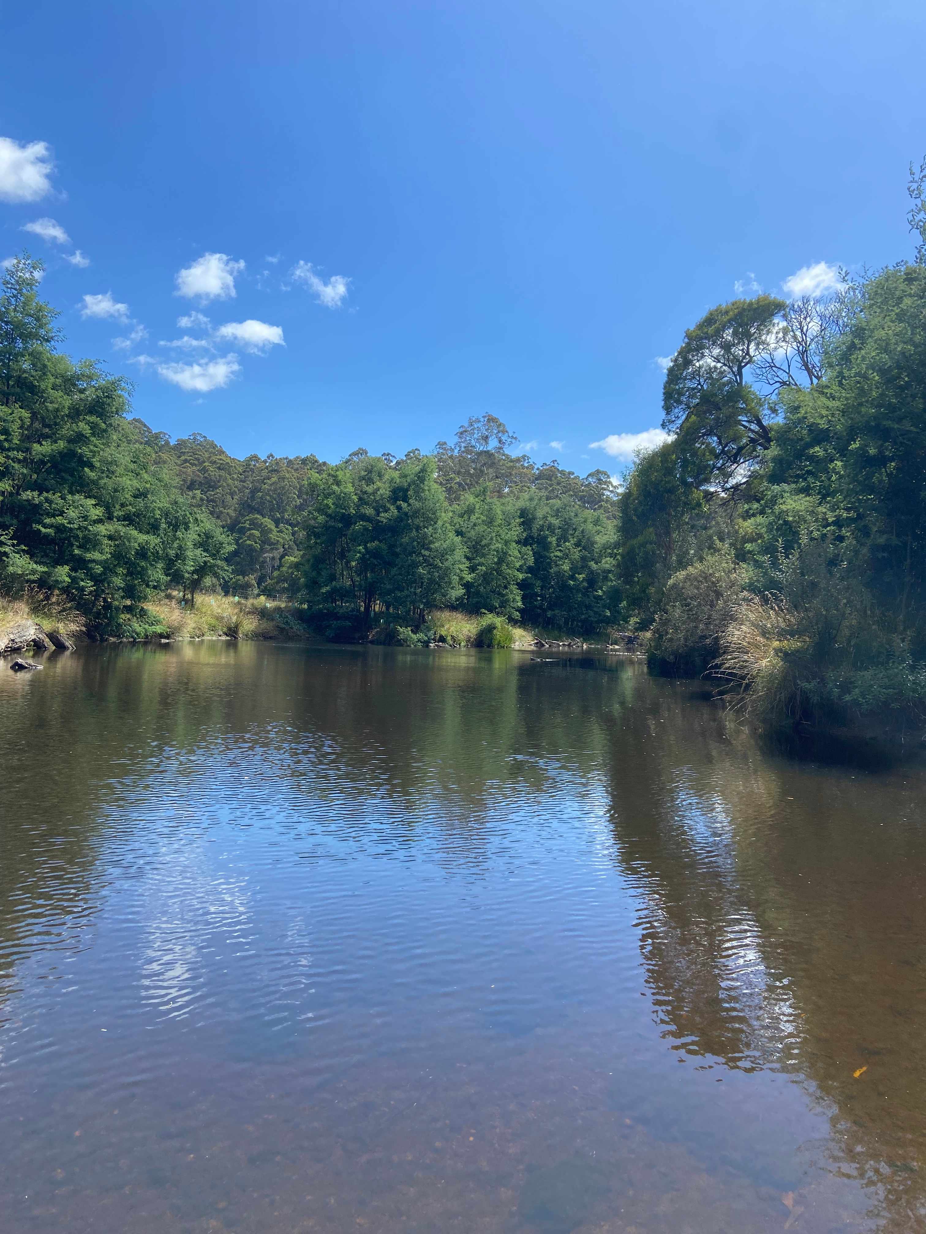 Inglis River Caravan and Camping