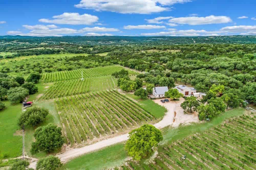 Hamilton Pool Vineyards & Farms