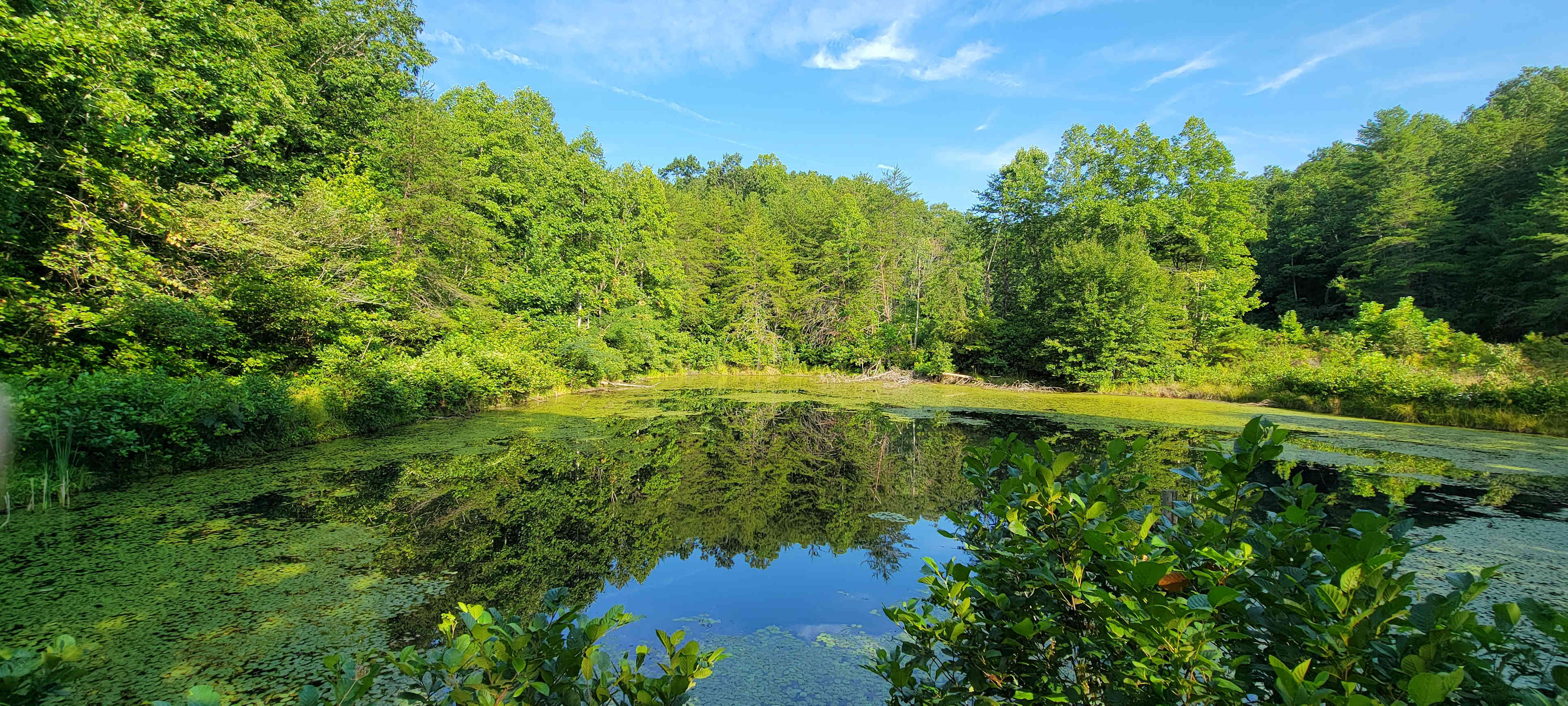 Take a Hike on a Wild side! Camping