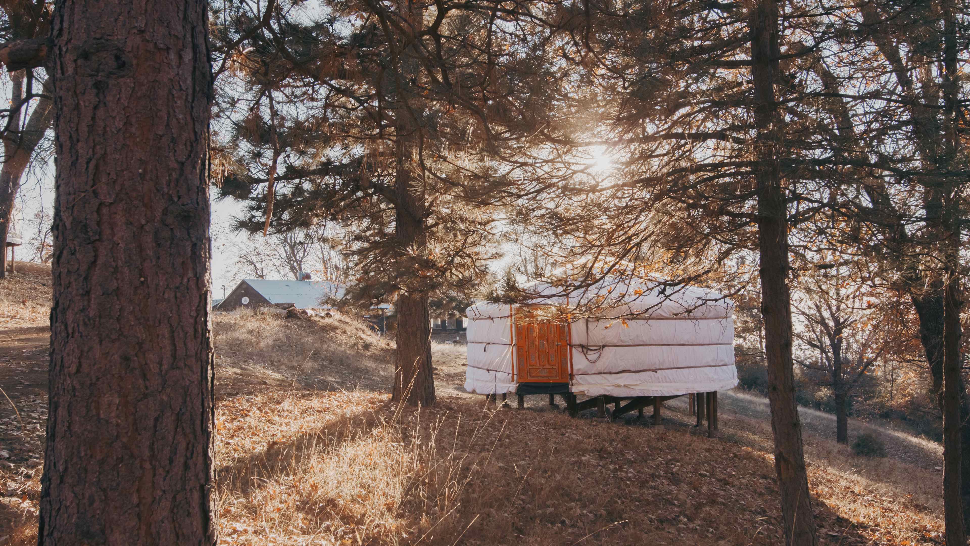 Sequoia Highland Camp