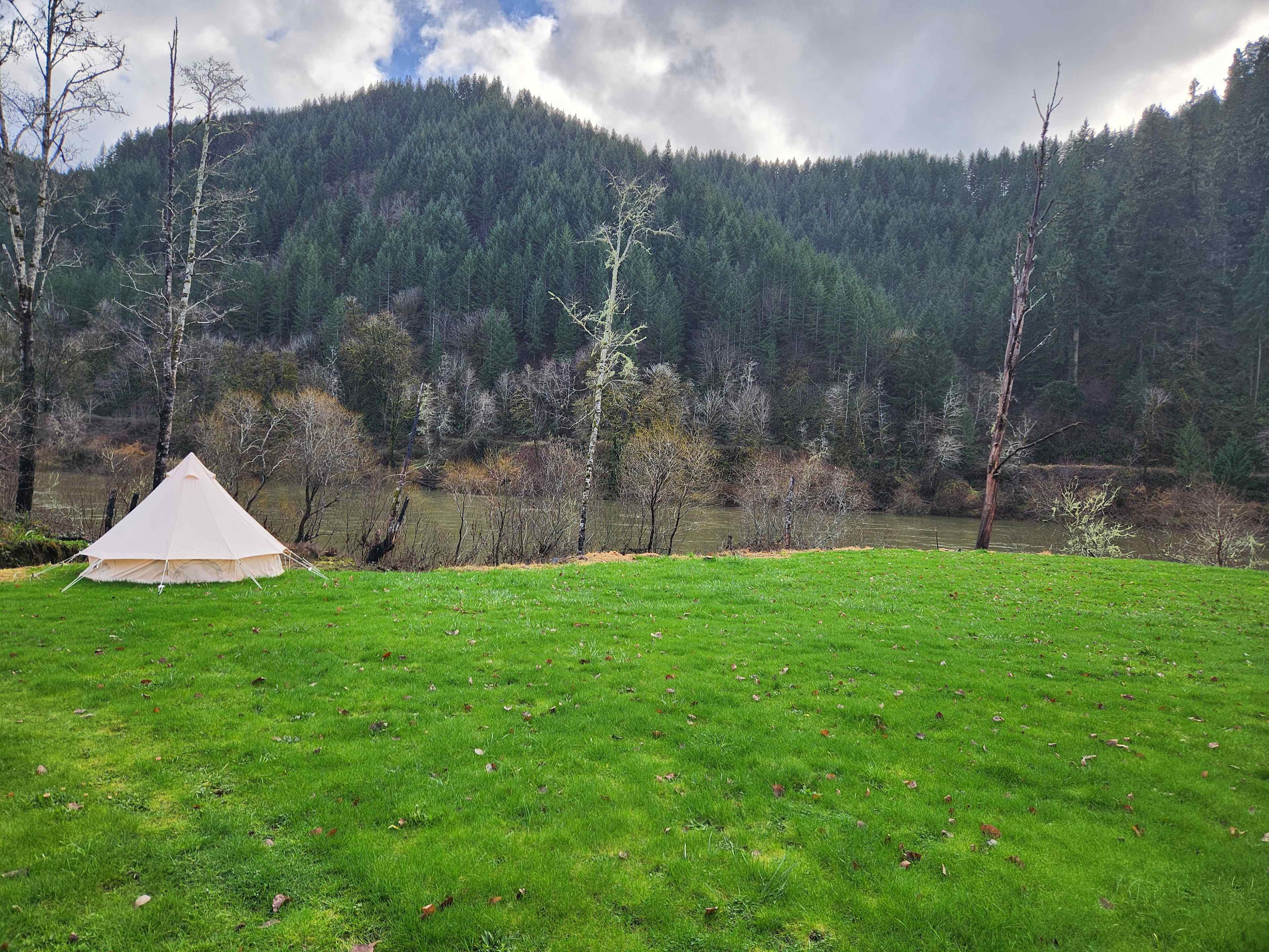 Tyee Farm