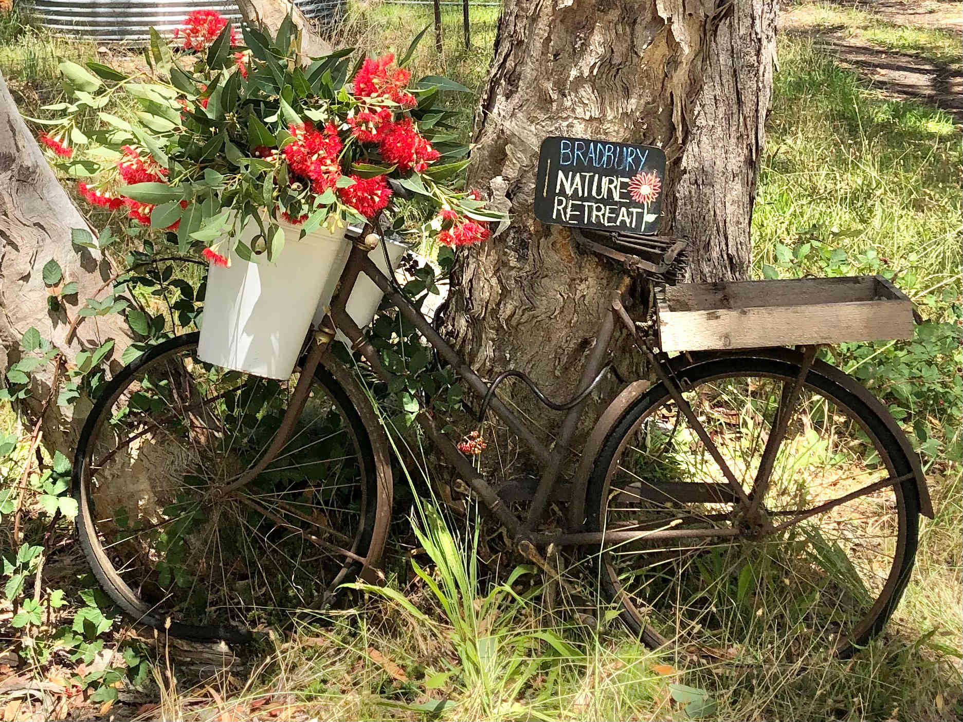 You will find this bike at the Campsite entrance