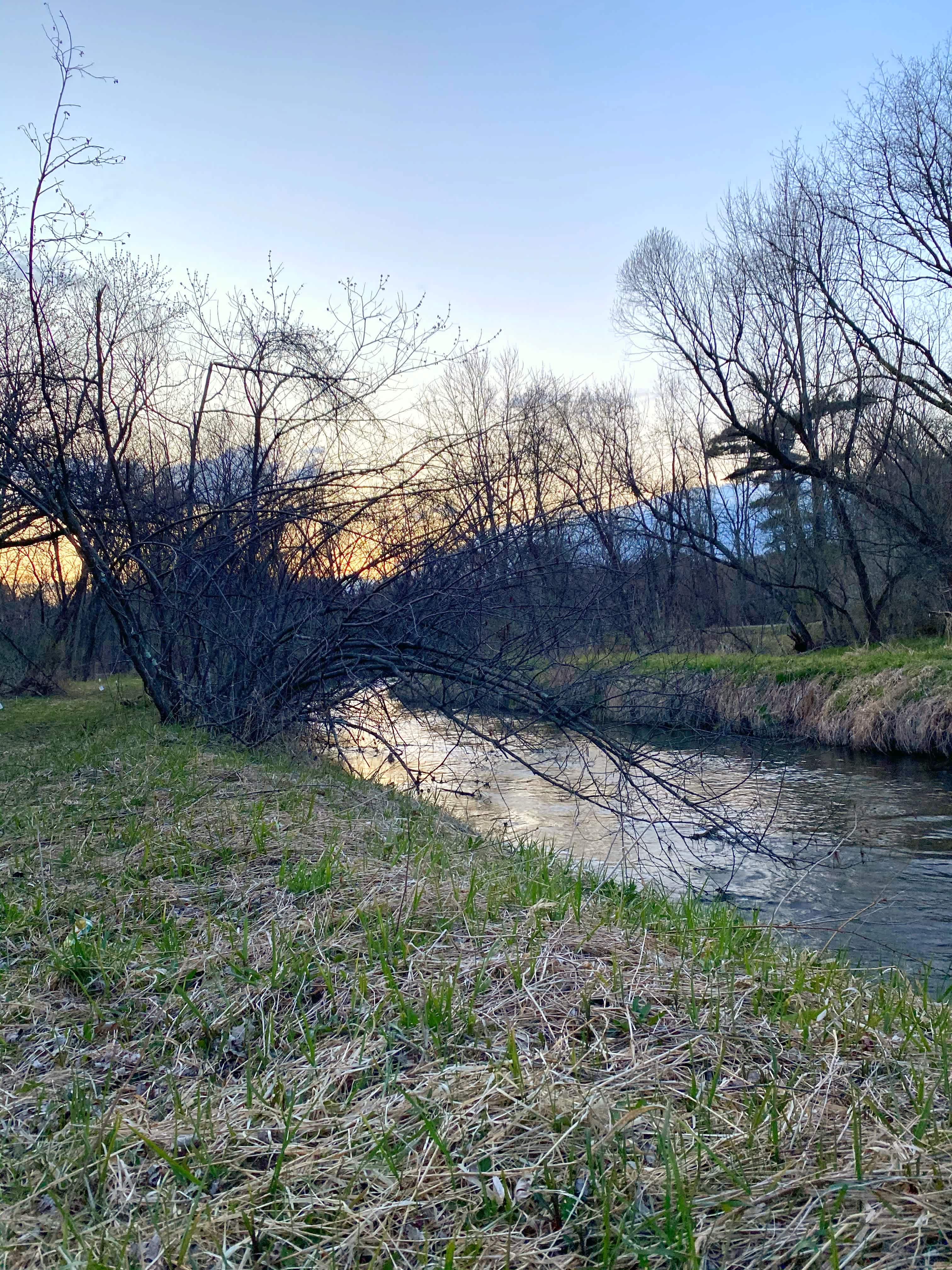 Elk Creek Retreat