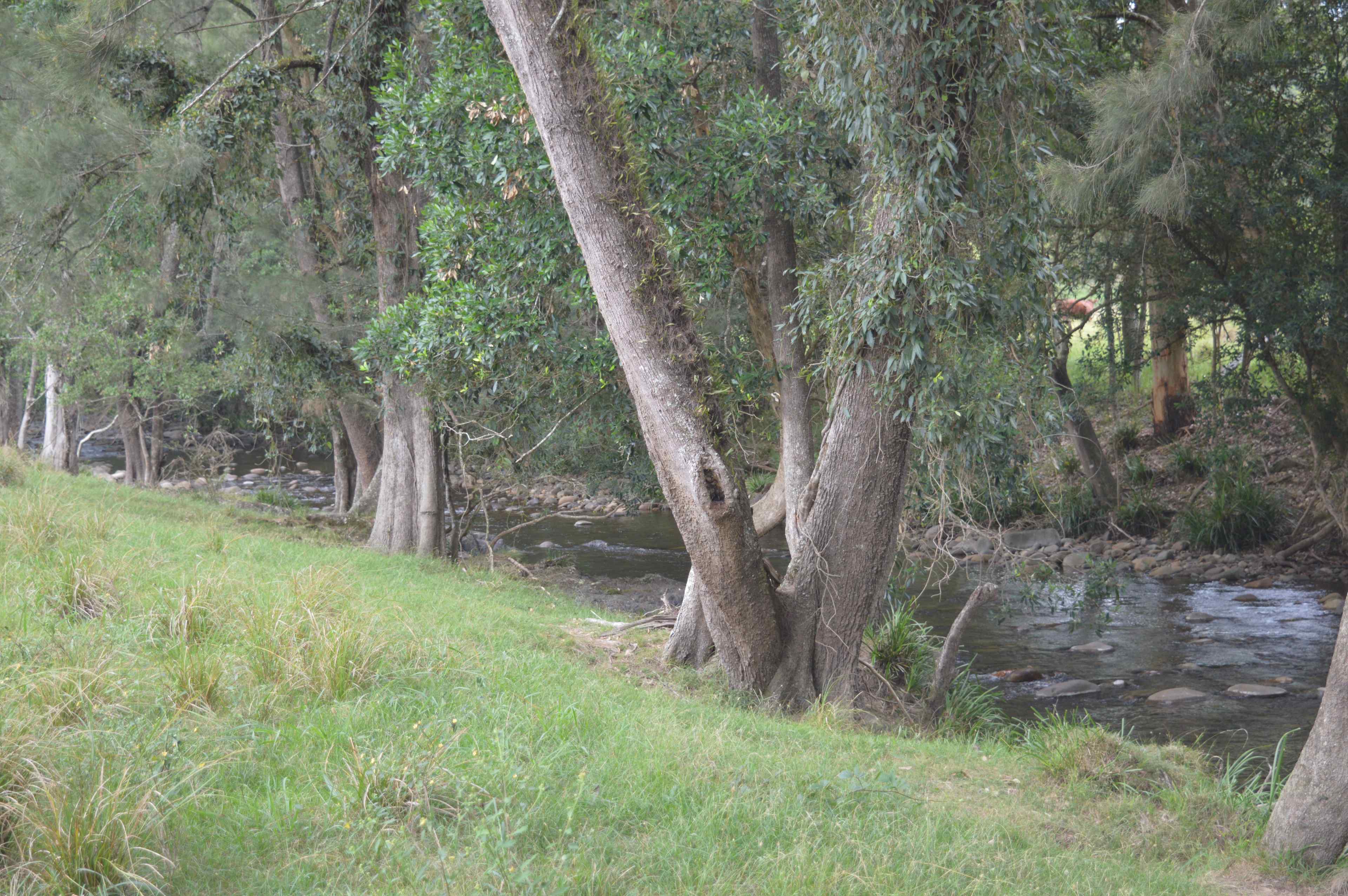 River Front Campsites