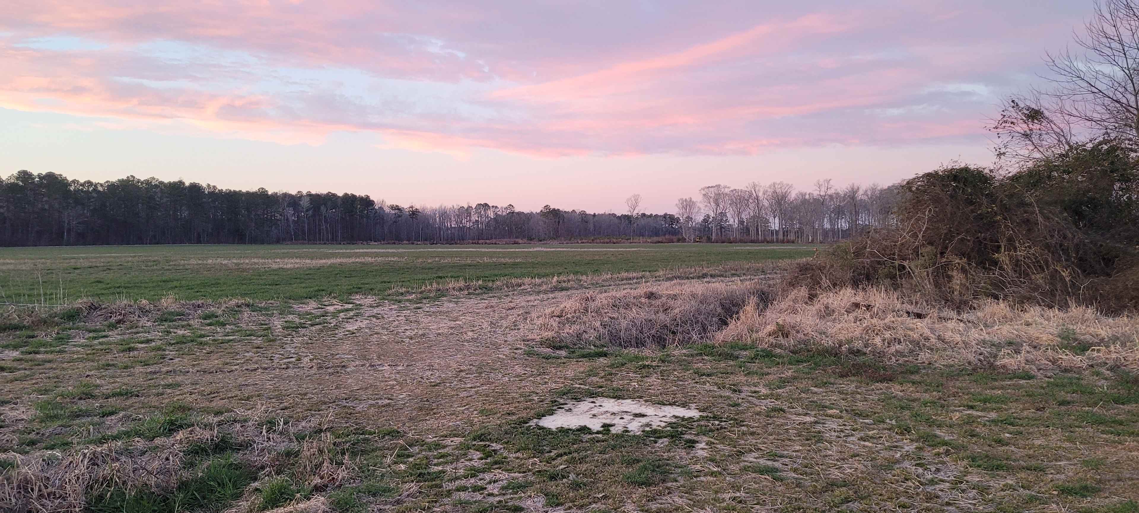 Wide Open Spaces