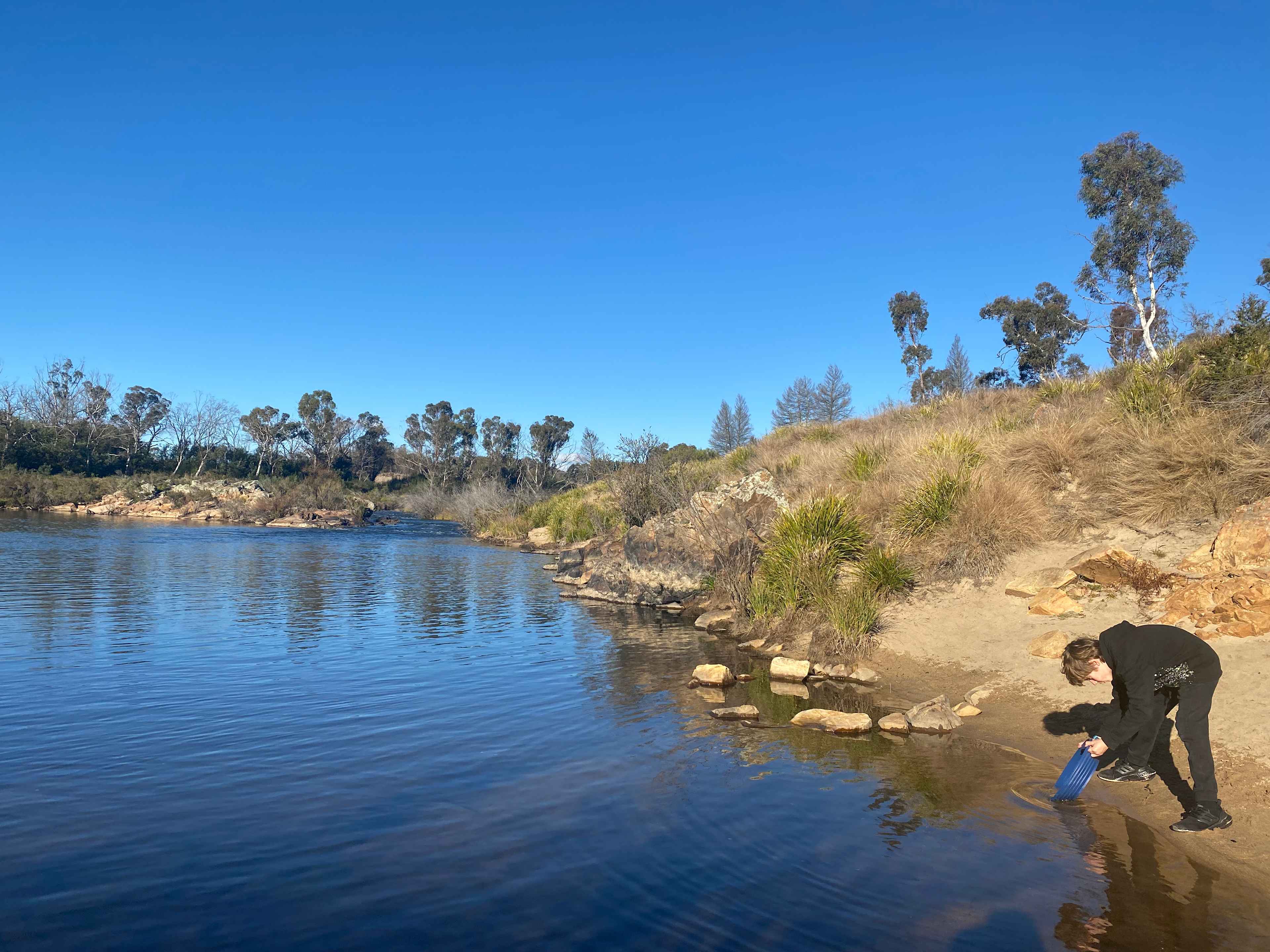 Bombay Bush Cabin and Camping