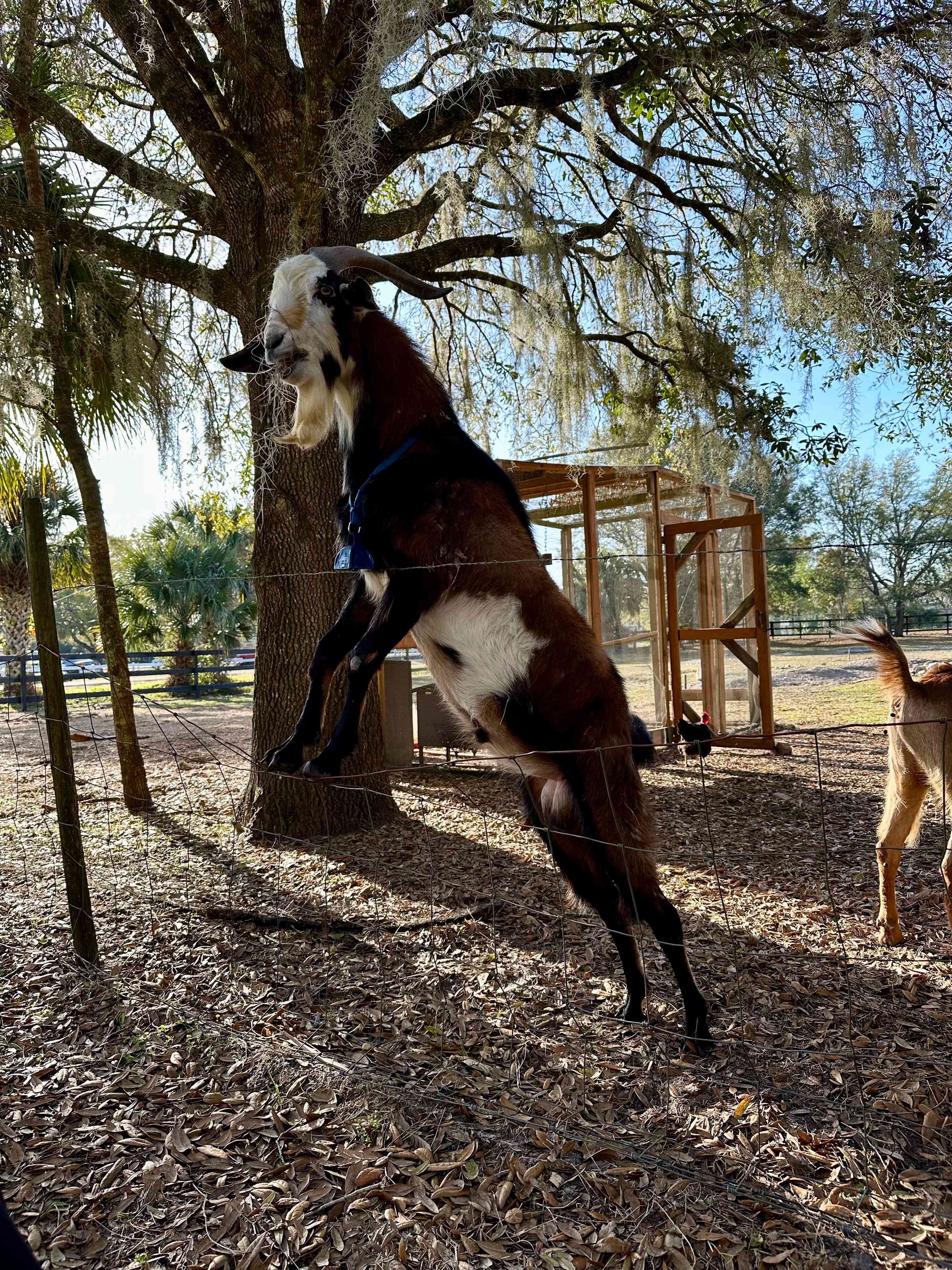True Trail Farm