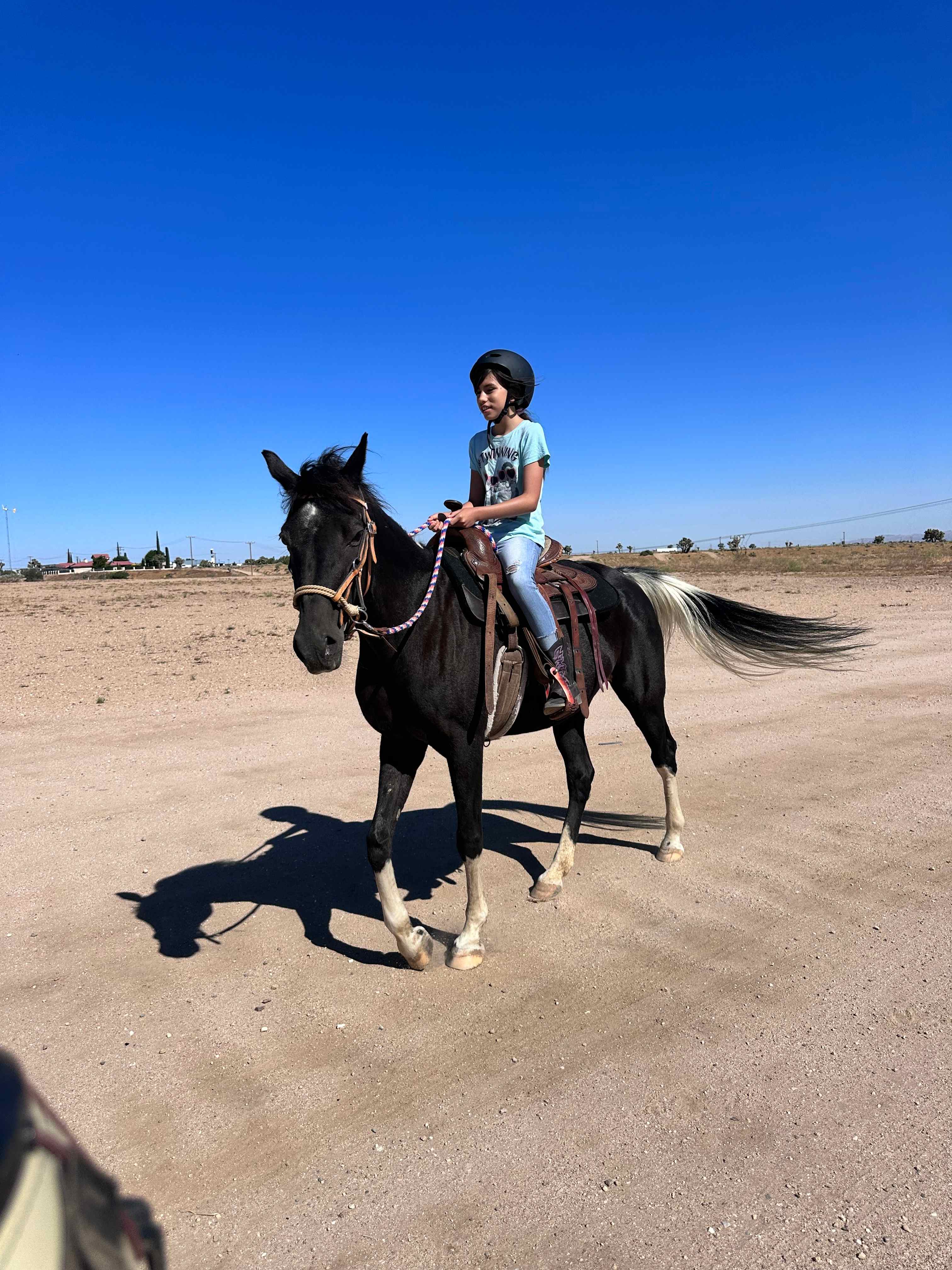 Wild Wind Ranch