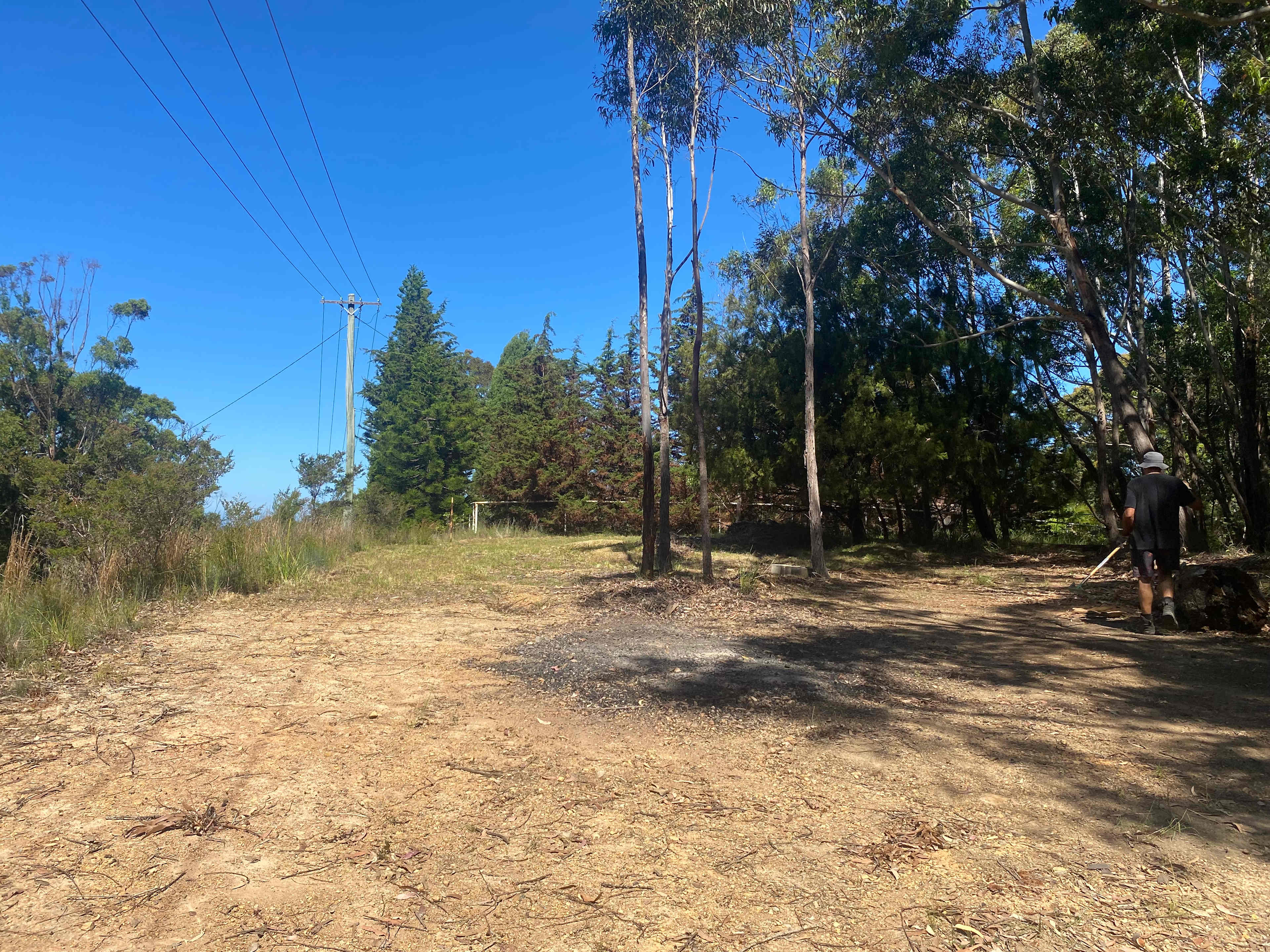 Rosedale Bush Stopover