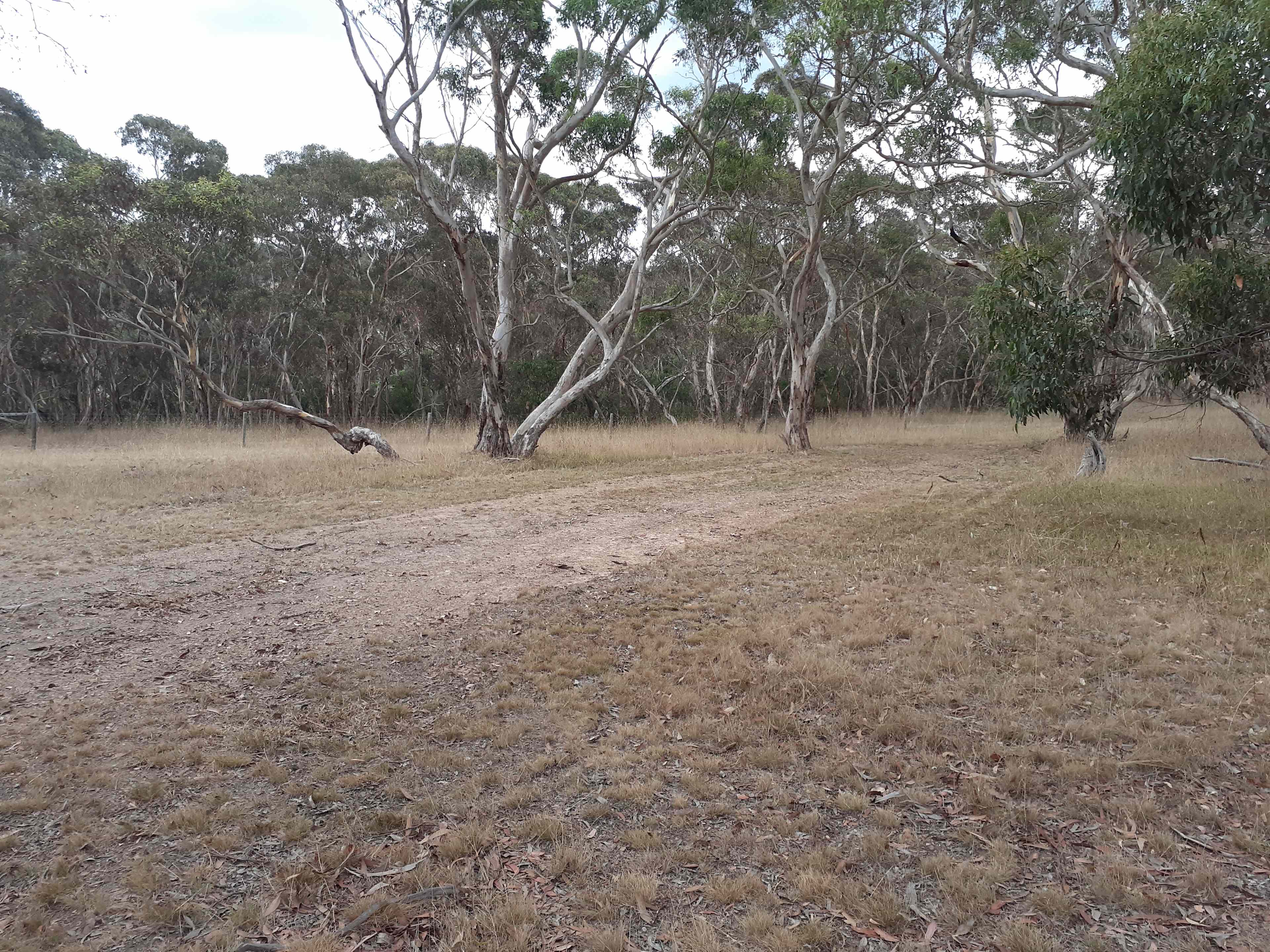 This is the flat site to park your caravan or pitch your tent