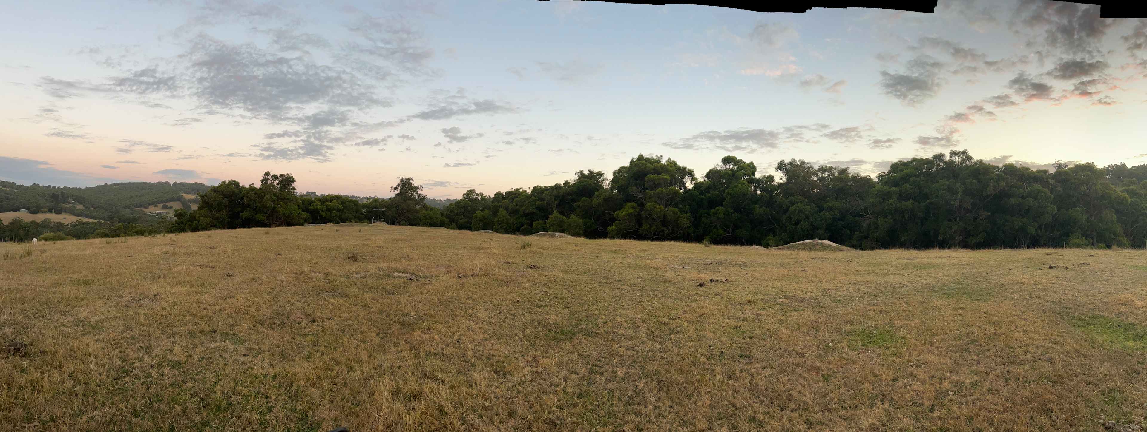 Toomuc Gully