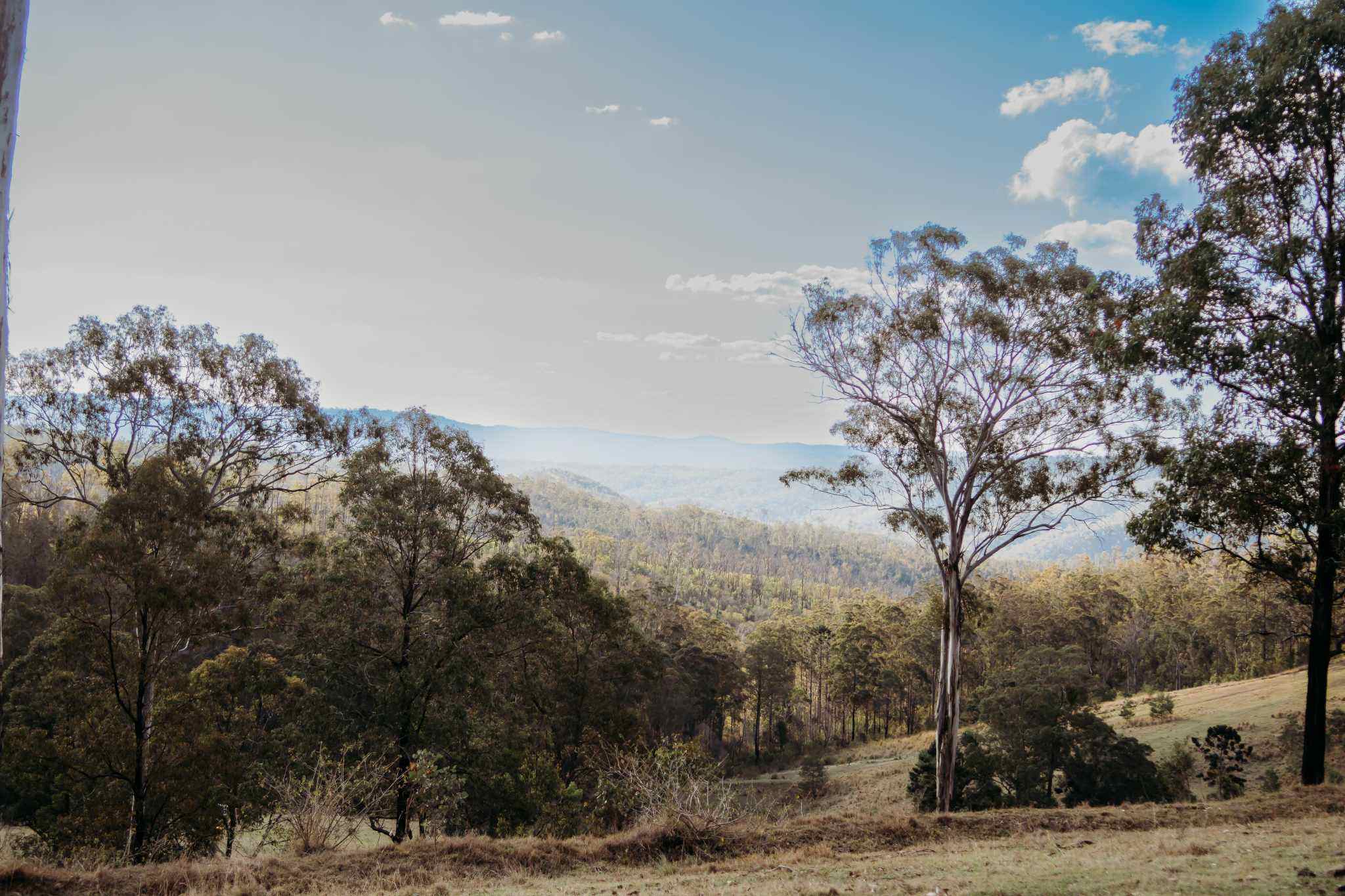 Foothills