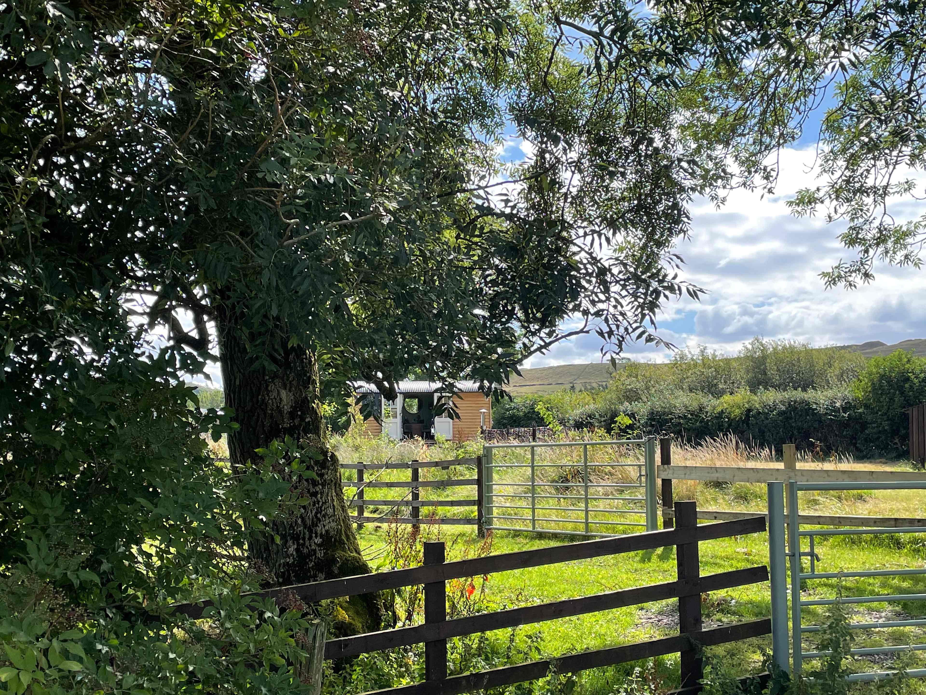Toadlands Shepherd Huts