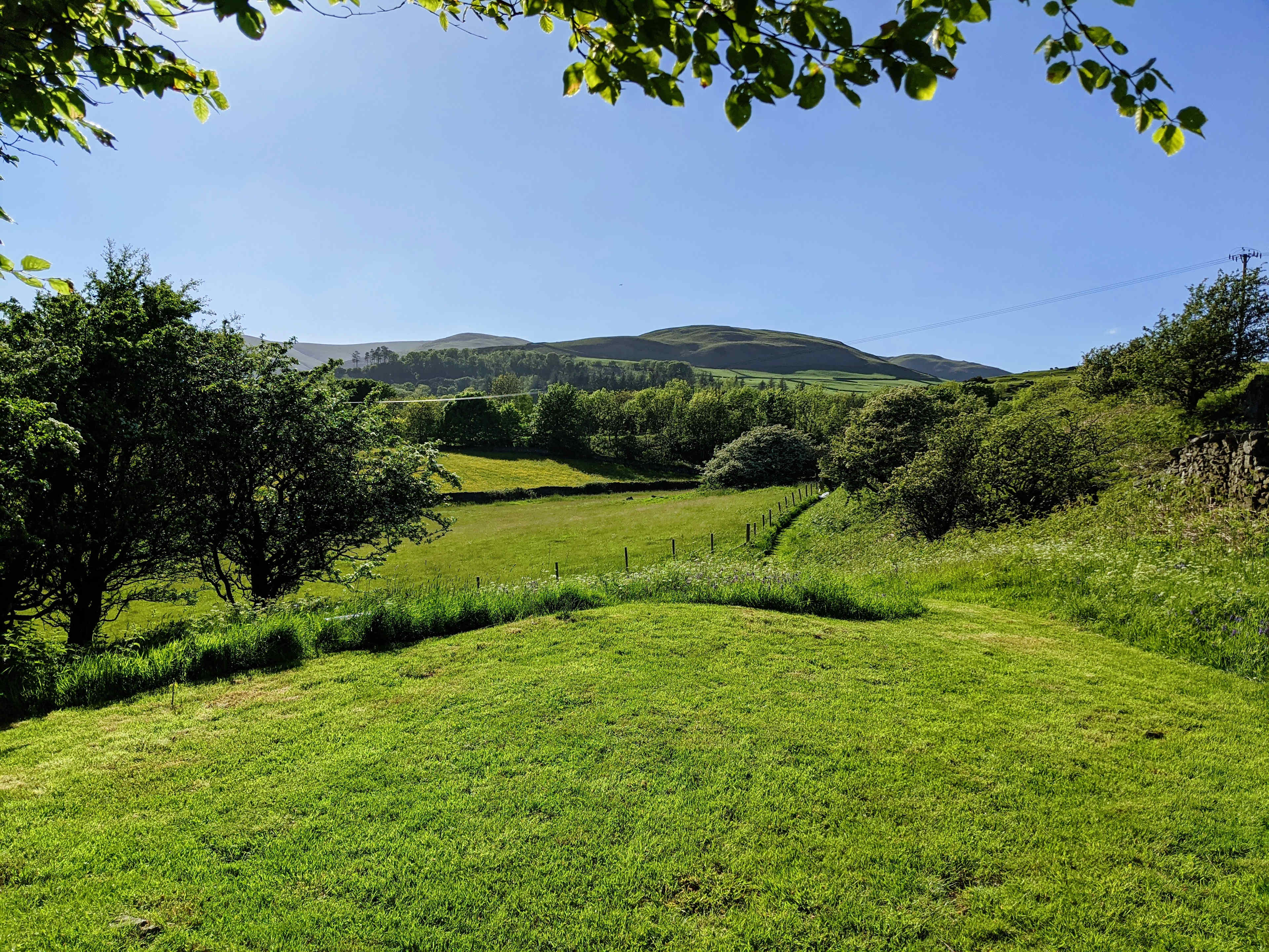 Hazel Mount Fellside