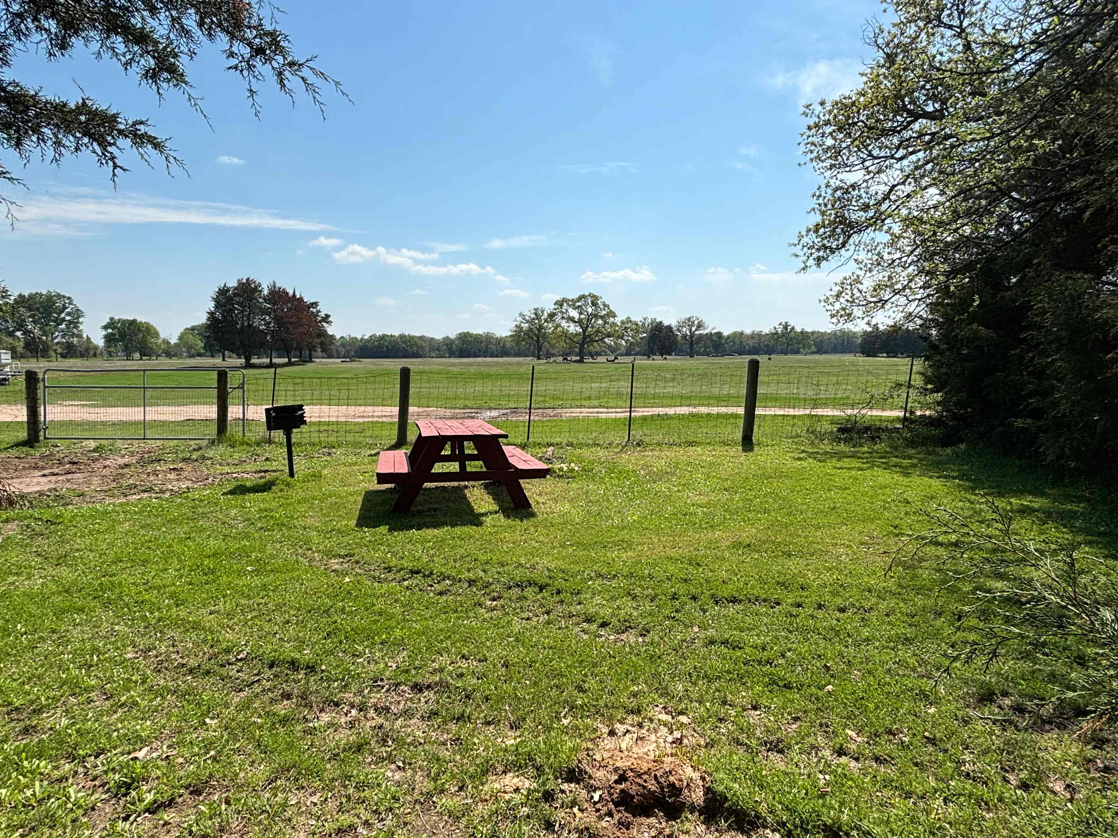 Llama Land Ranch