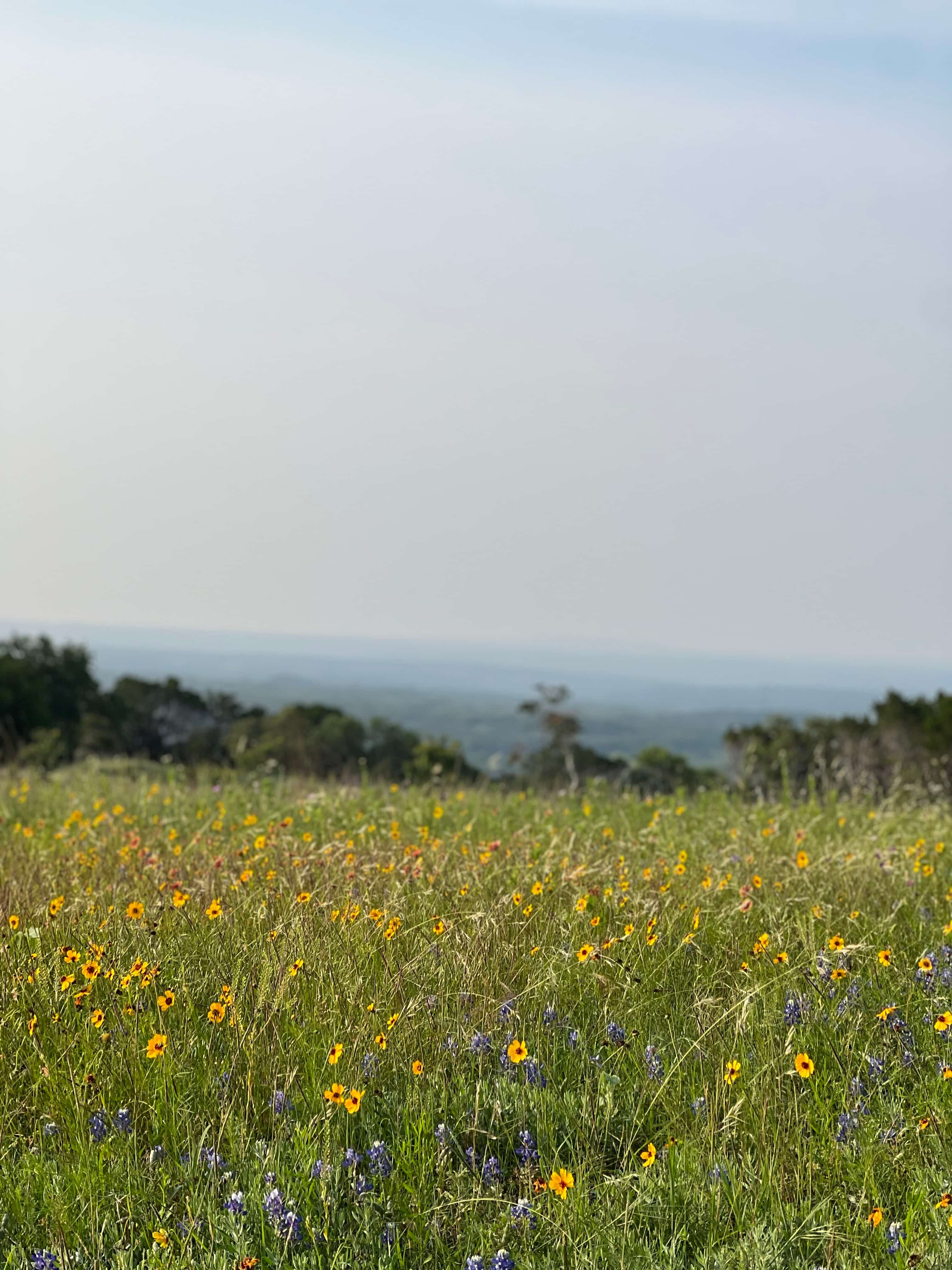 High Hope Ranch