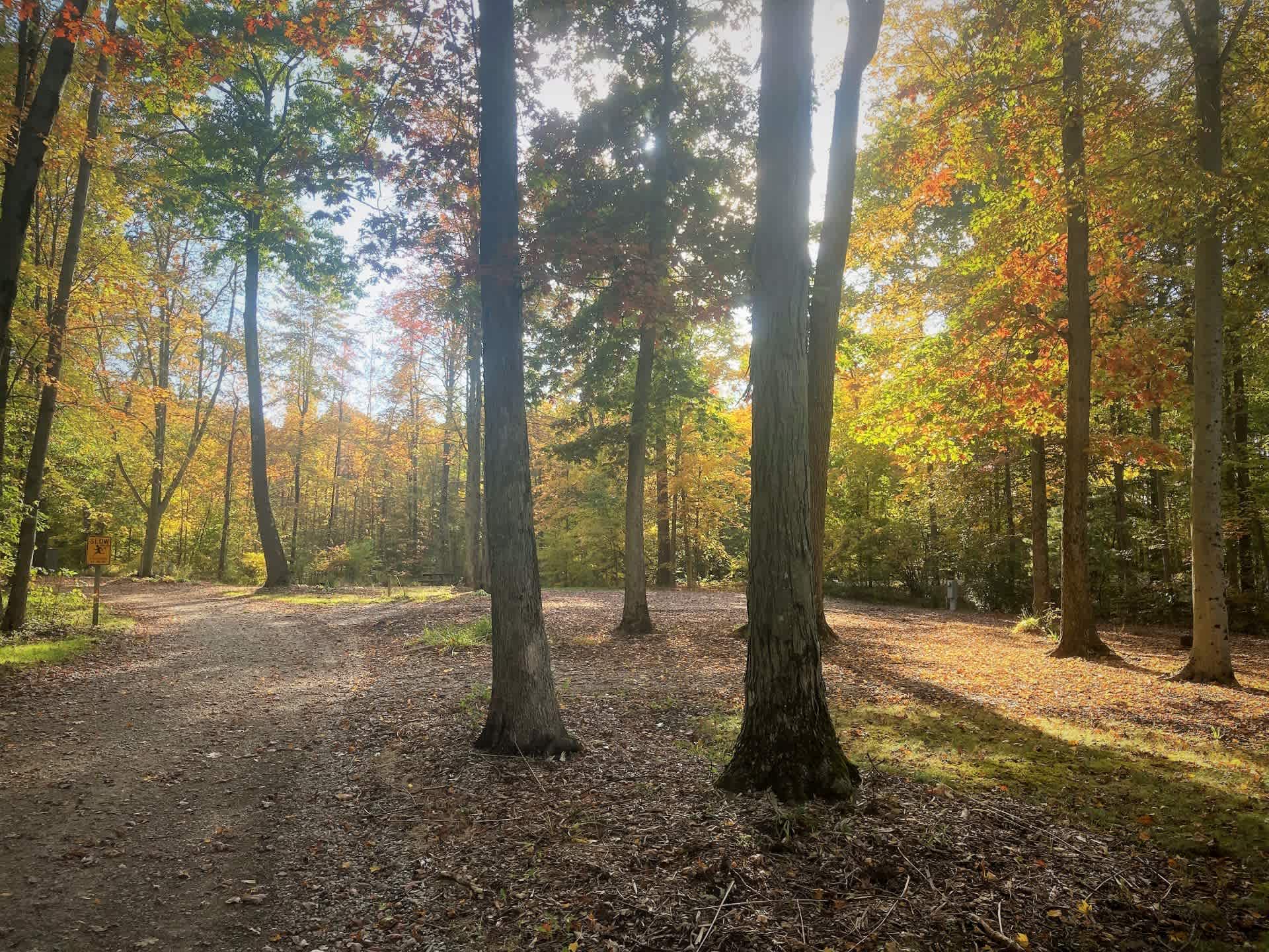 Hidden Lakes Family Campground