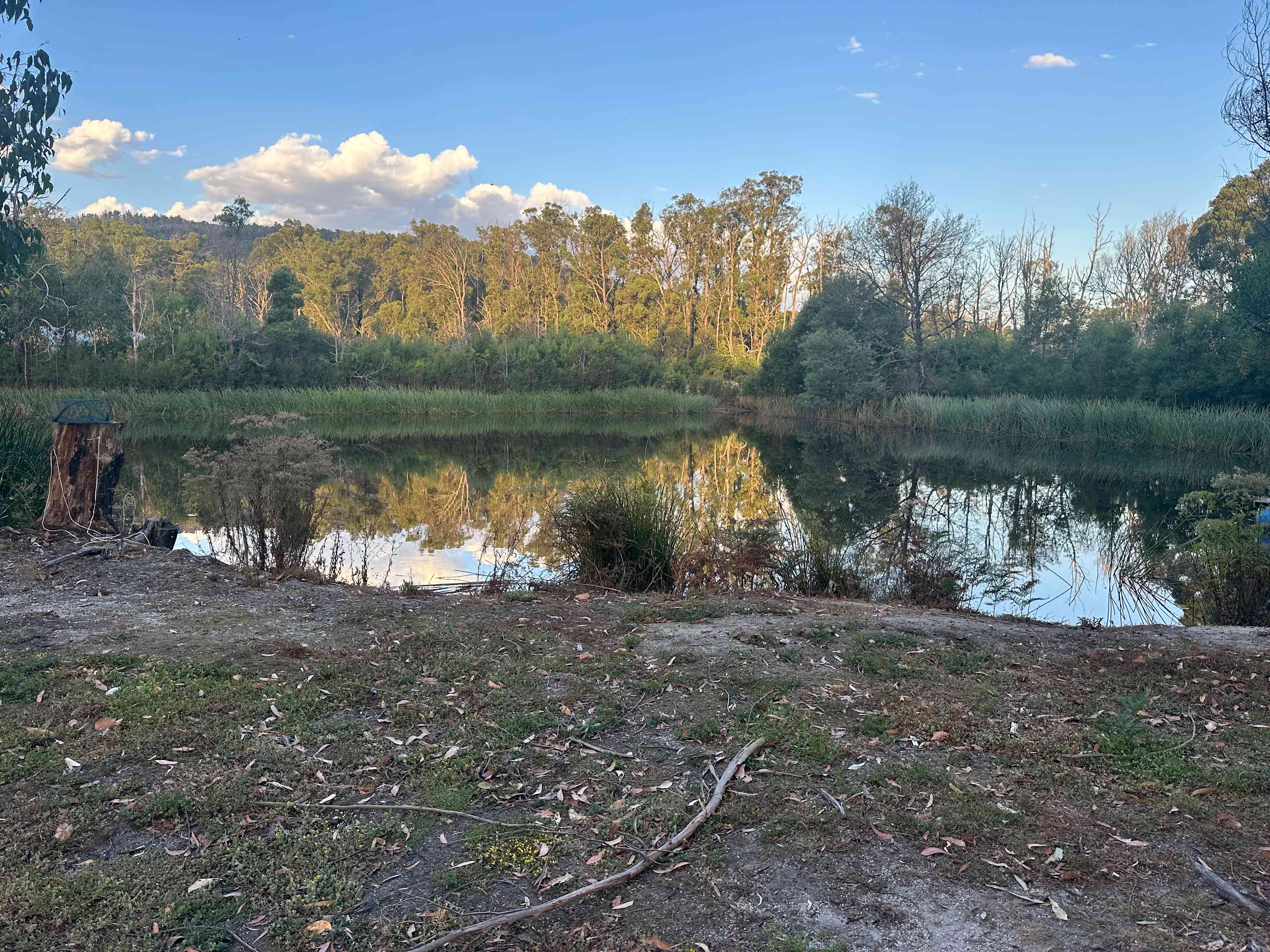 Tonimbuk Farm