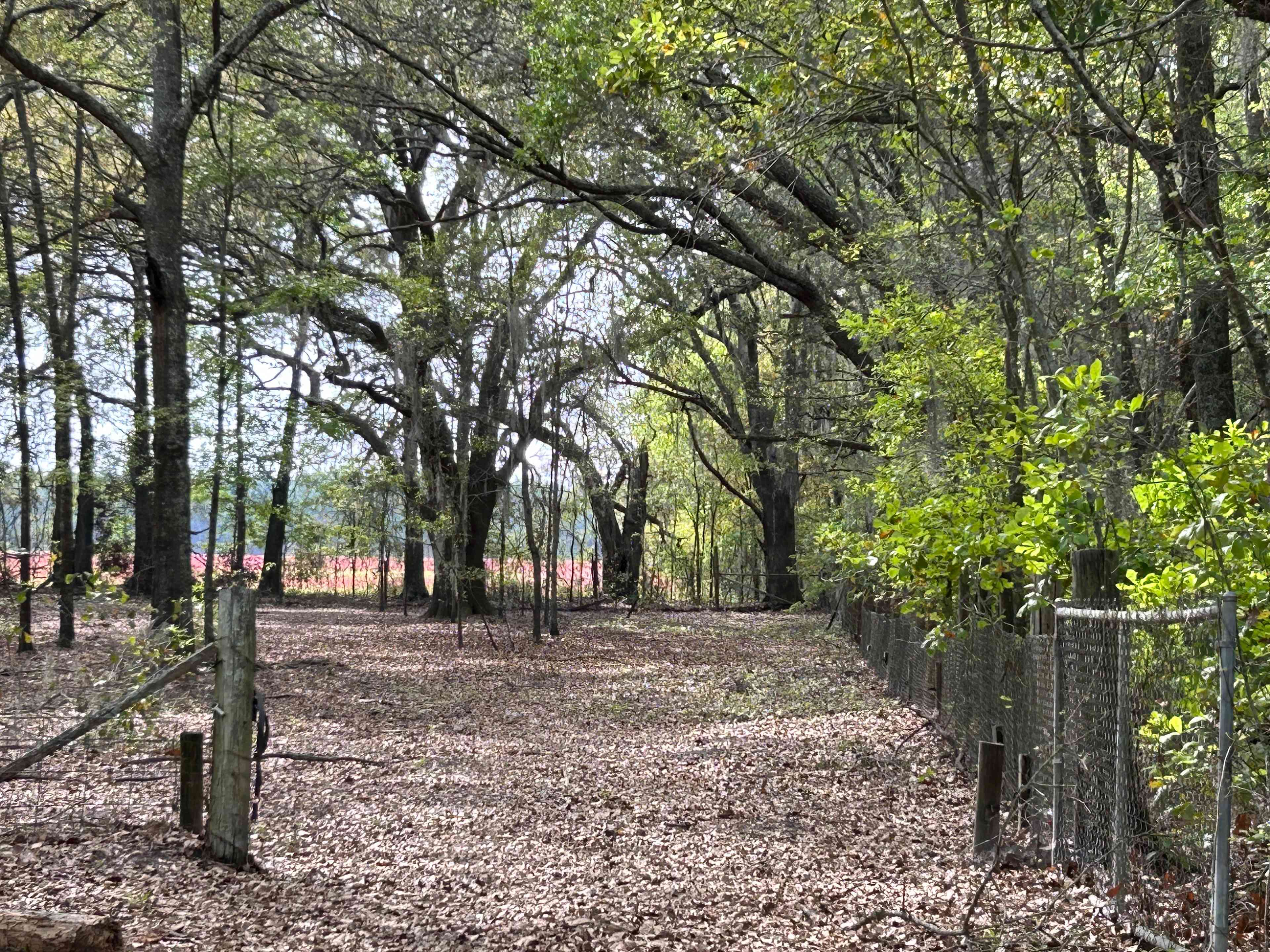 Bluewater Horse Ranch