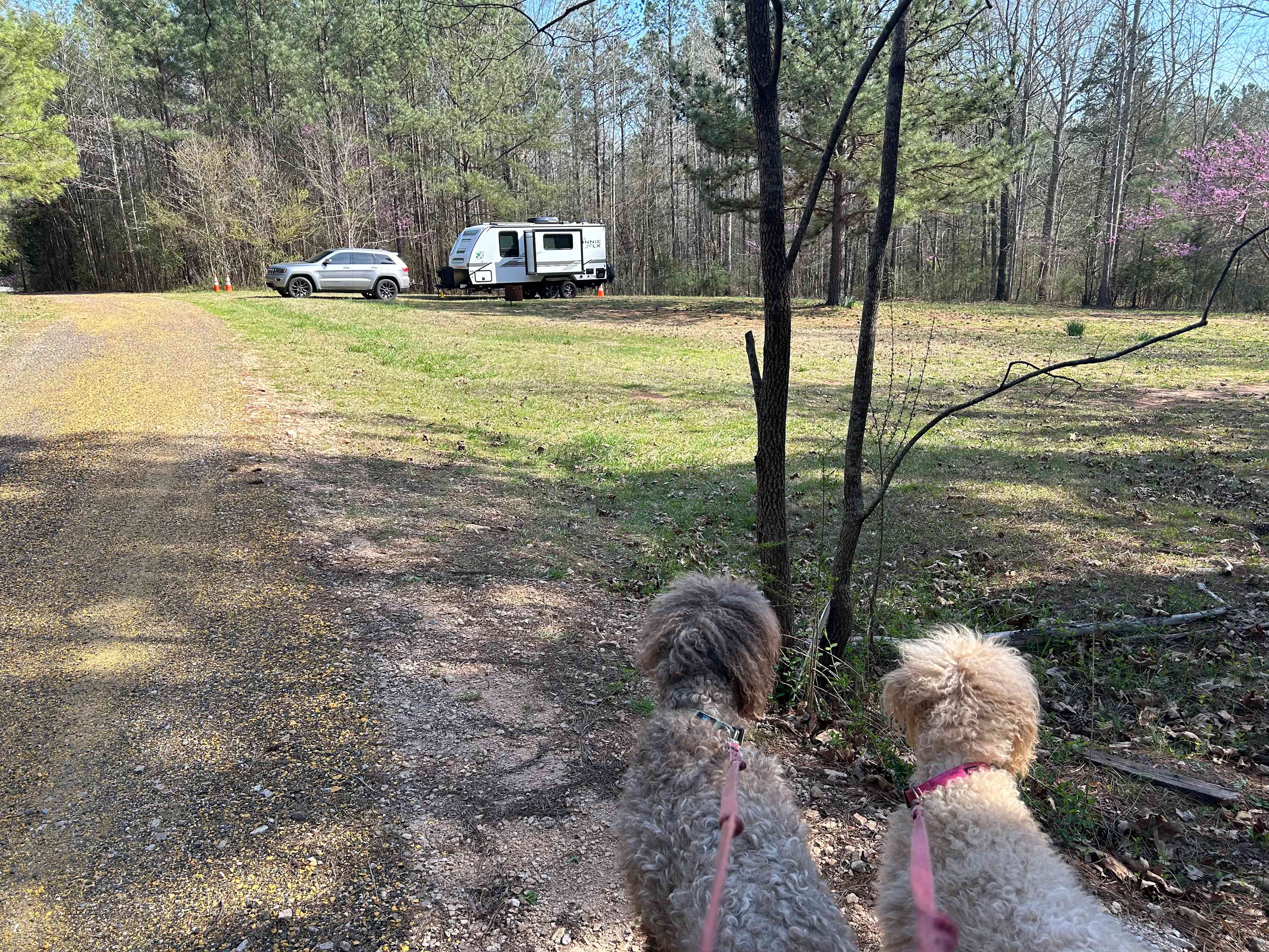 Black Walnut Farmstead