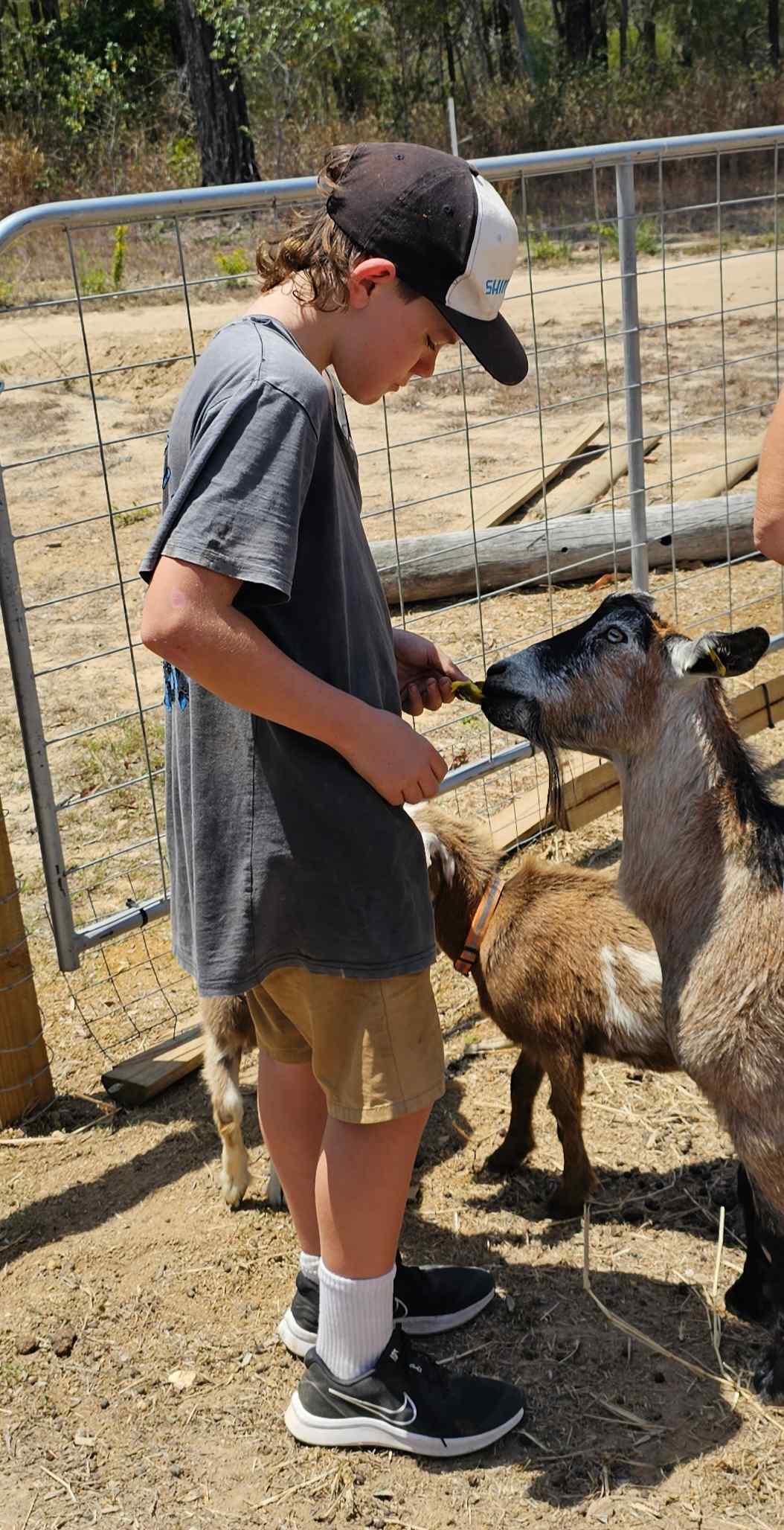 Thyme Travellers Farm Stay