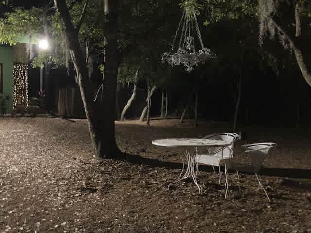 Fairytale Forrest