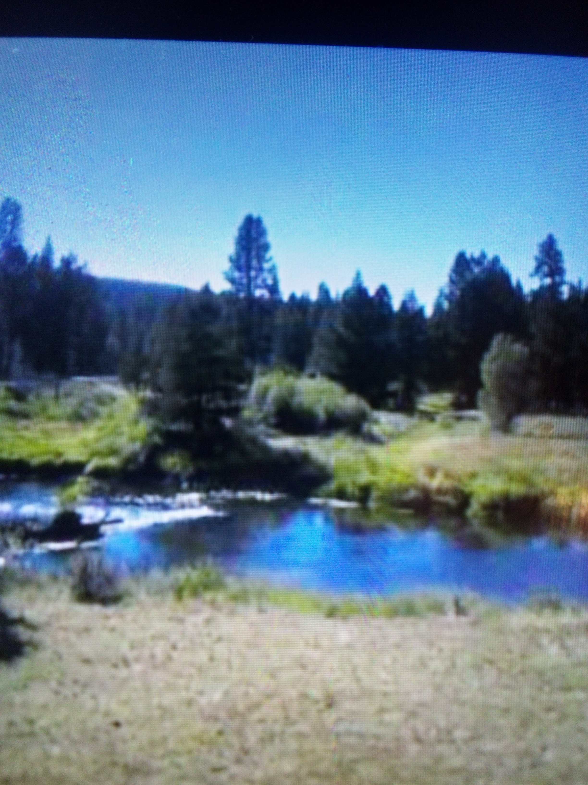 River Pines