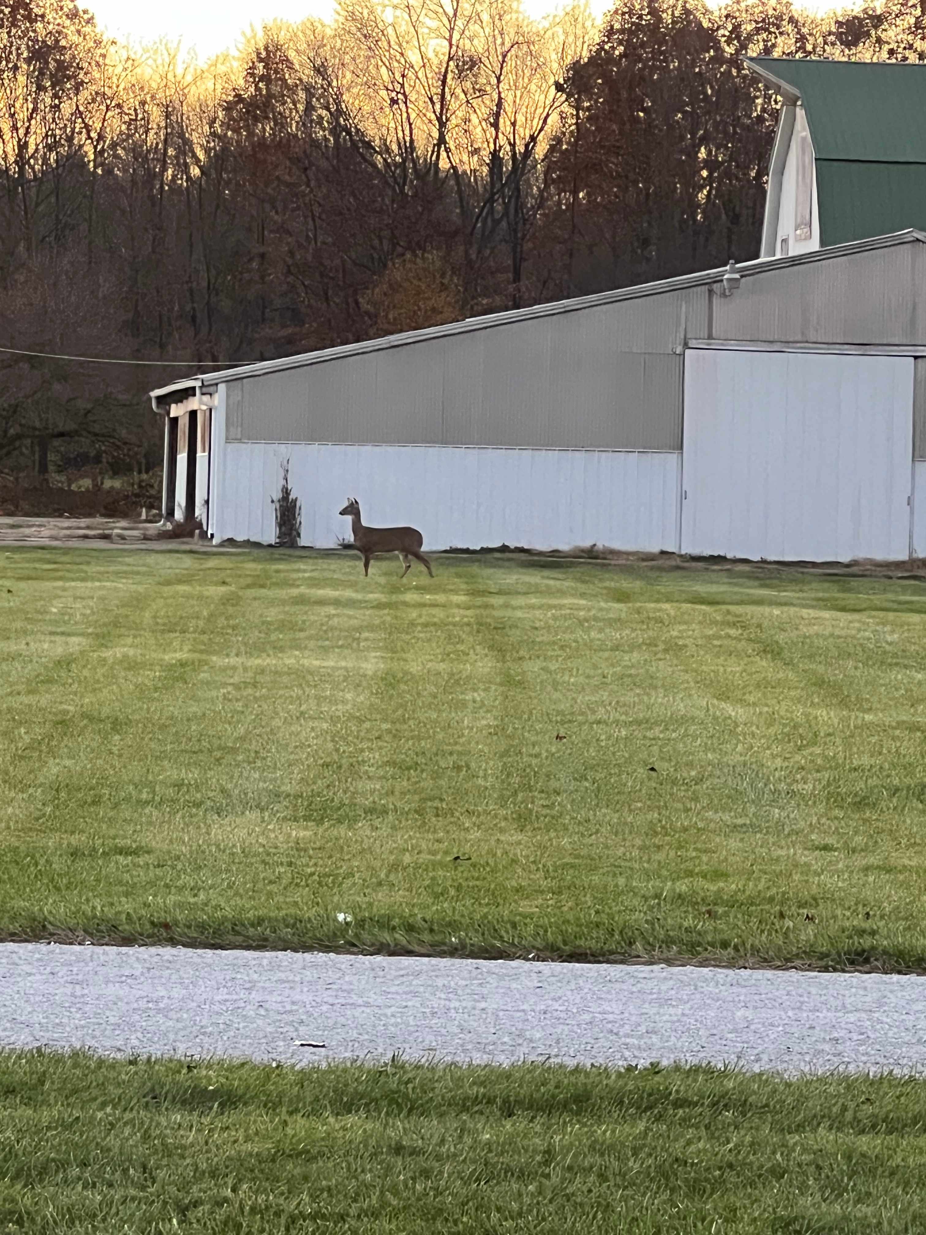English Acres