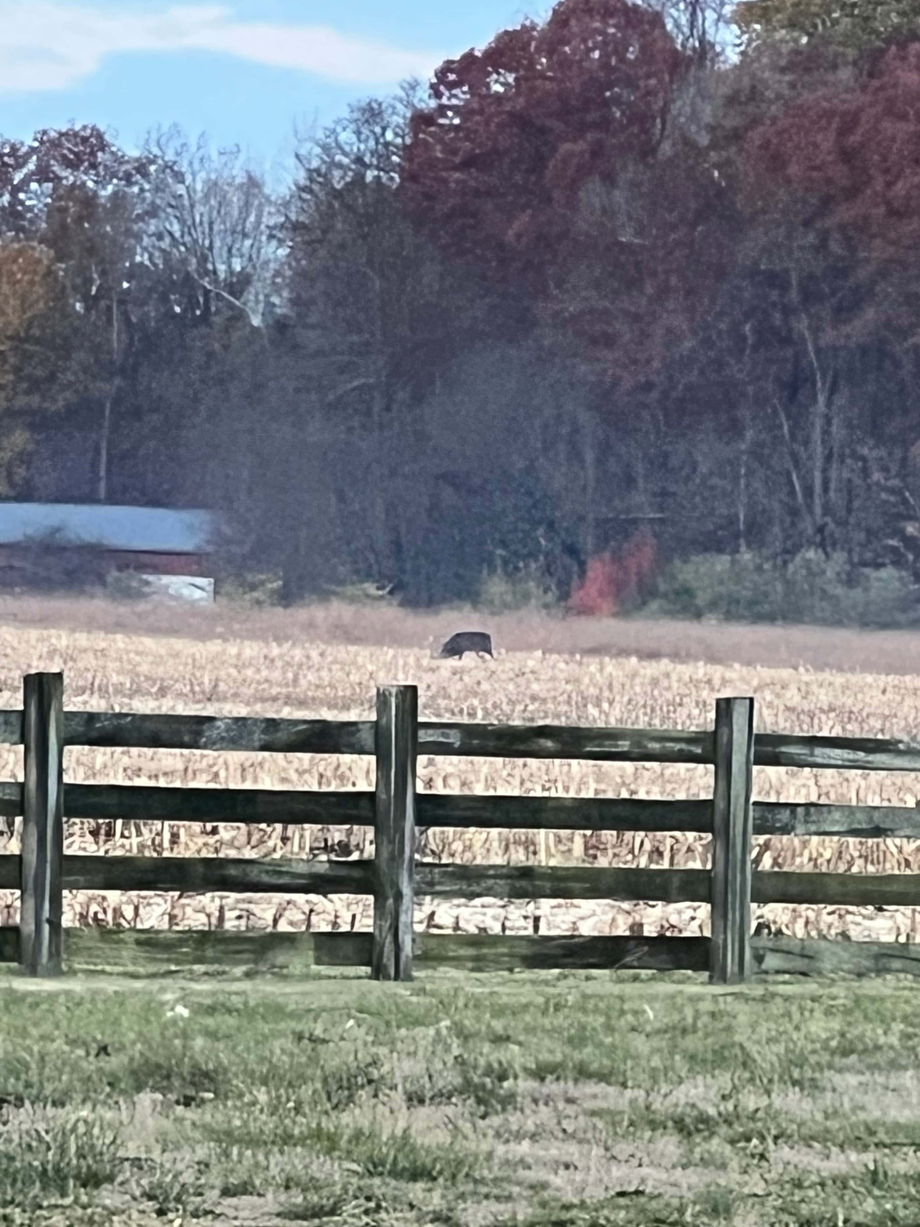 English Acres