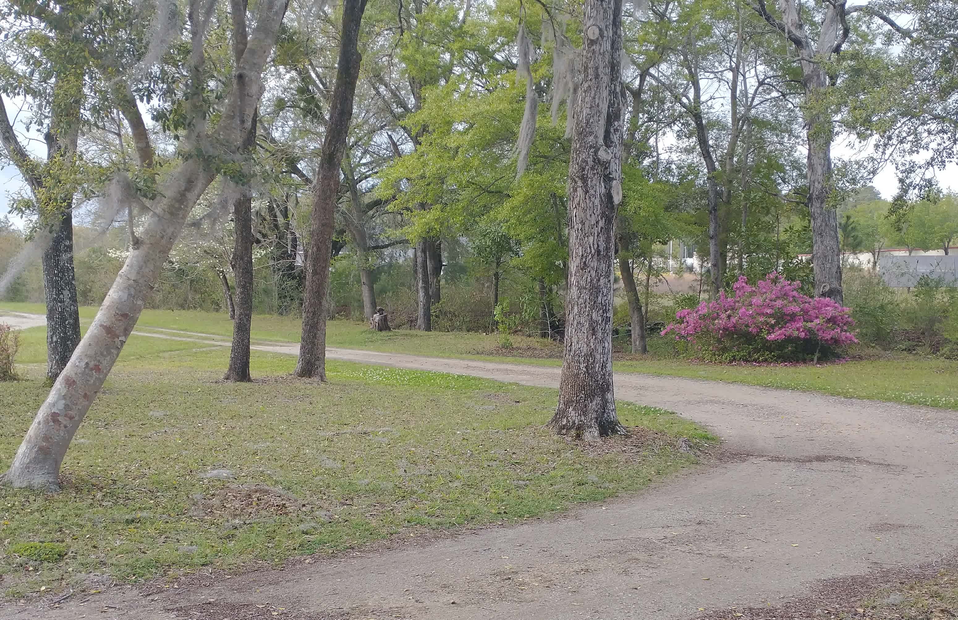 The campsite is located on the right side of the driveway. 