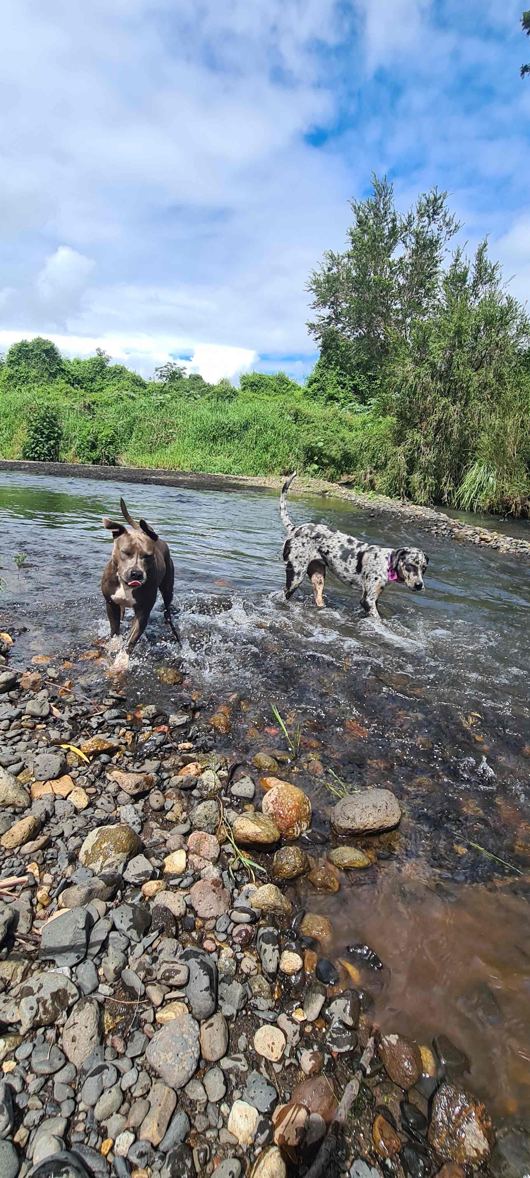 Buddai Camp